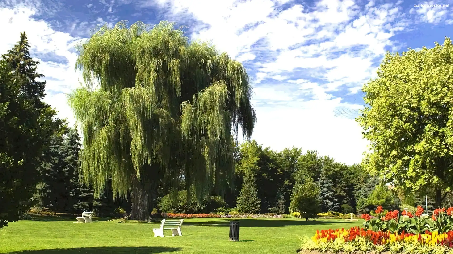 Park, Toronto, Kanada