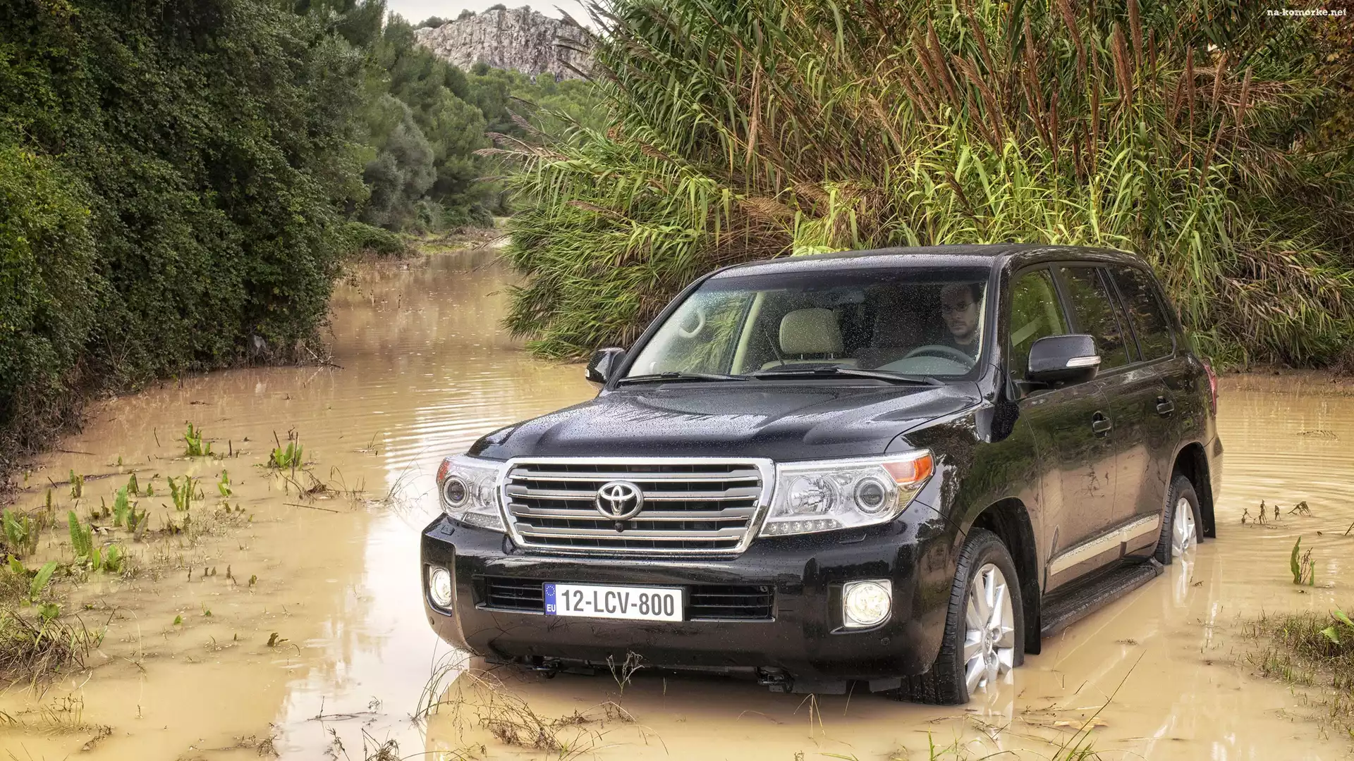 Toyota, Drzewa, Land Cruiser, Rzeczka