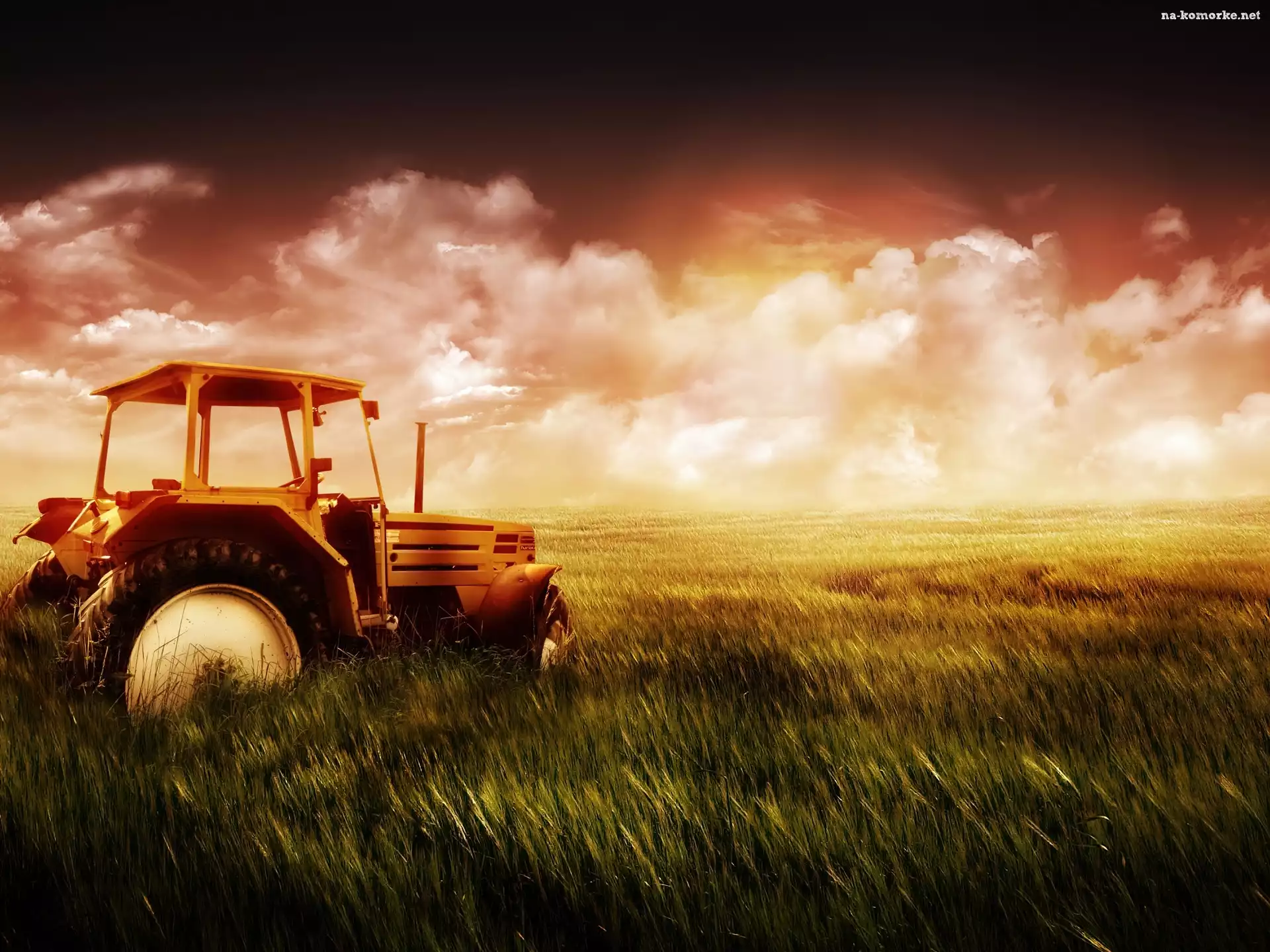 Traktor, Zboża, Pole, Łany