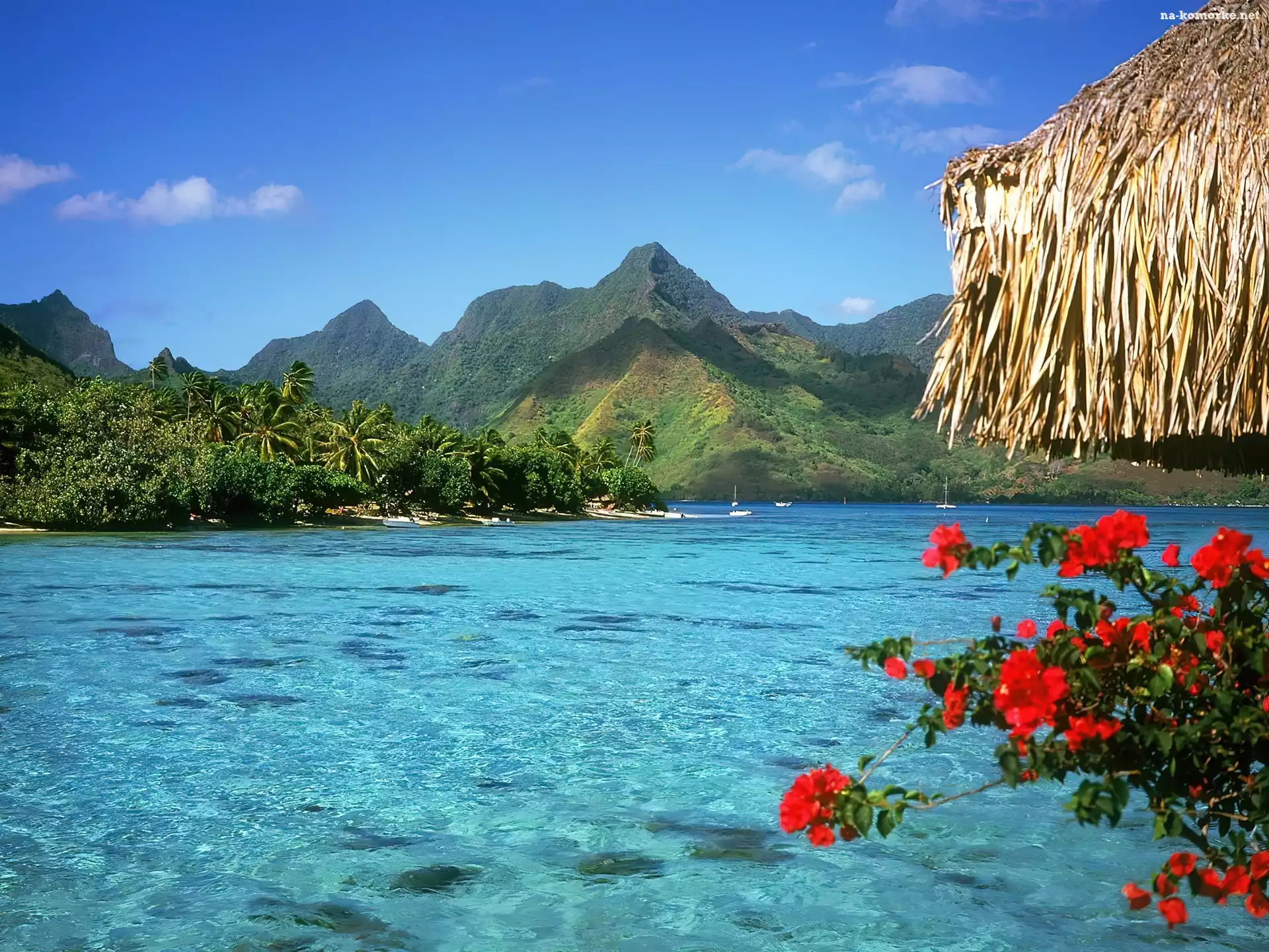 Tranquil, Bora, Lagoon, Bora