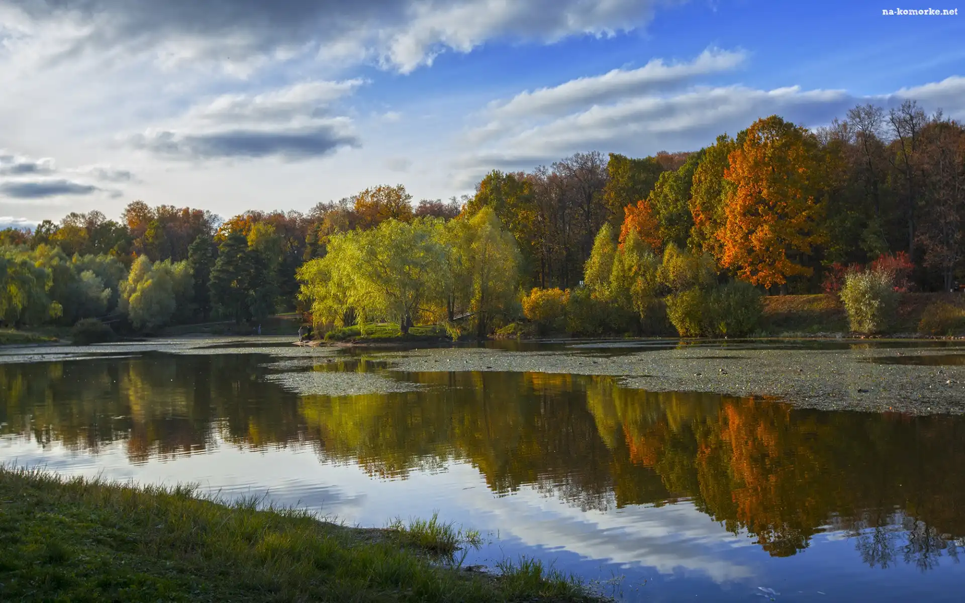 Odbicie, Brzeg, Jesień, Trawa, Park, Staw, Drzewa