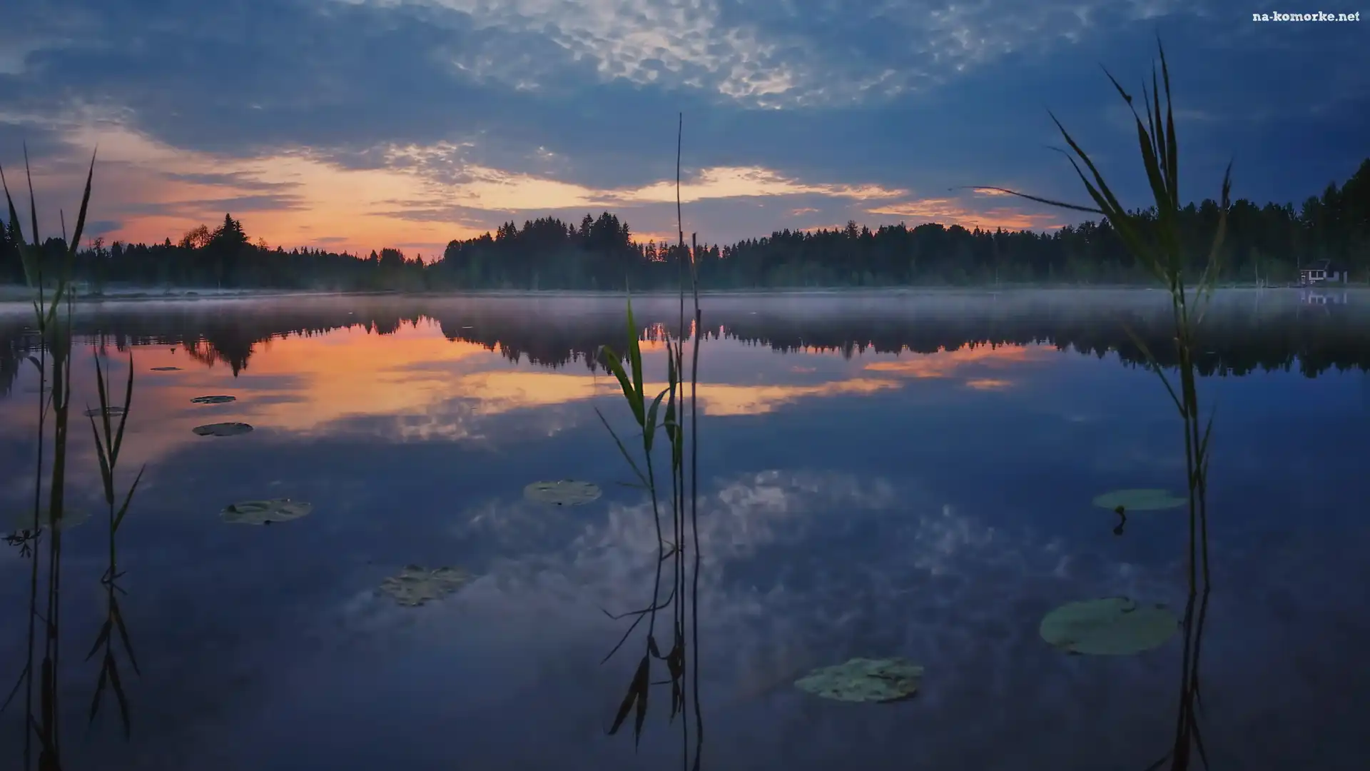 Trawa, Zachód słońca, Chmury, Jezioro, Mgła