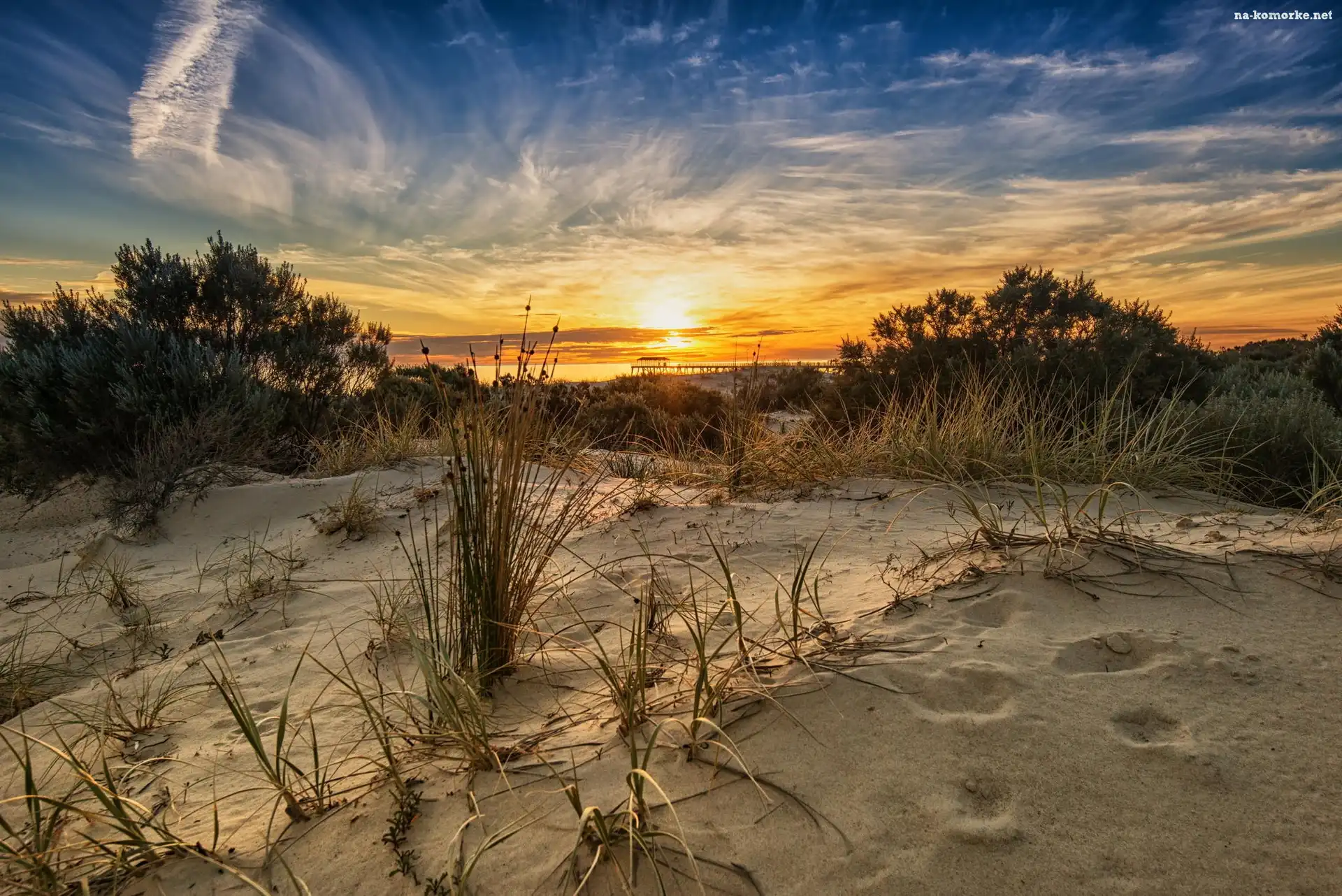 Trawa, Zachód, Słońca, Morze, Plaża