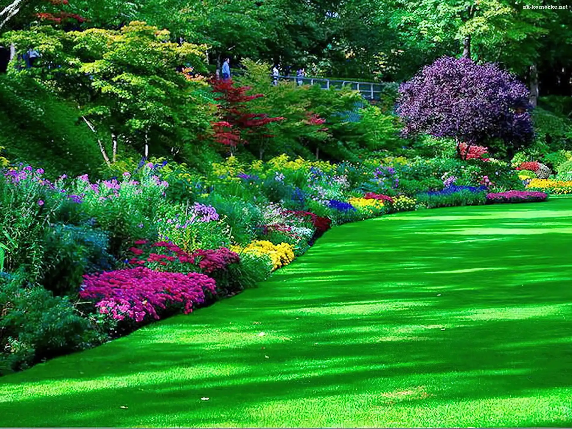 Park, Trawa, Kwiaty