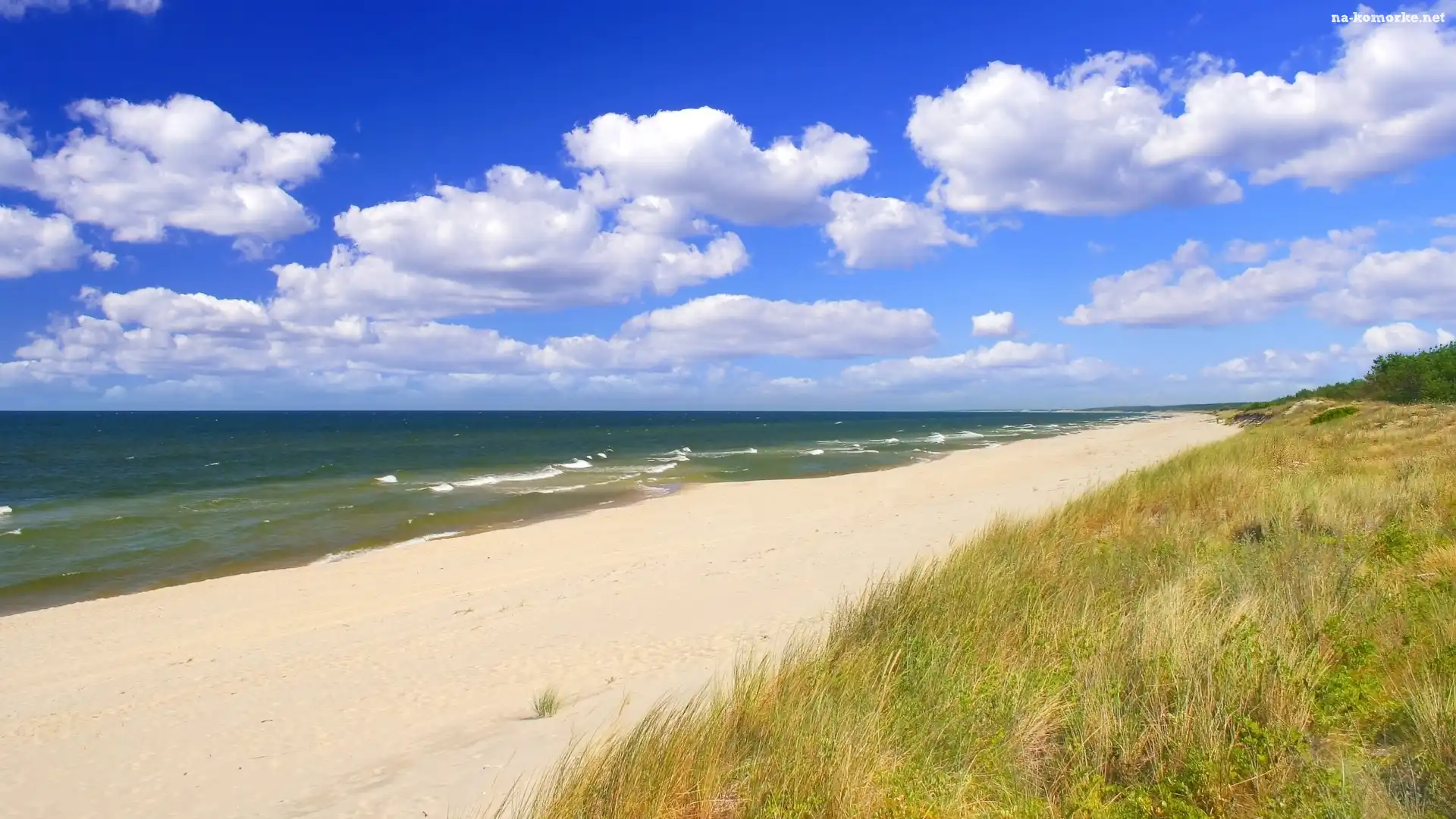 Trawa, Morze, Fale, Plaża, Piasek