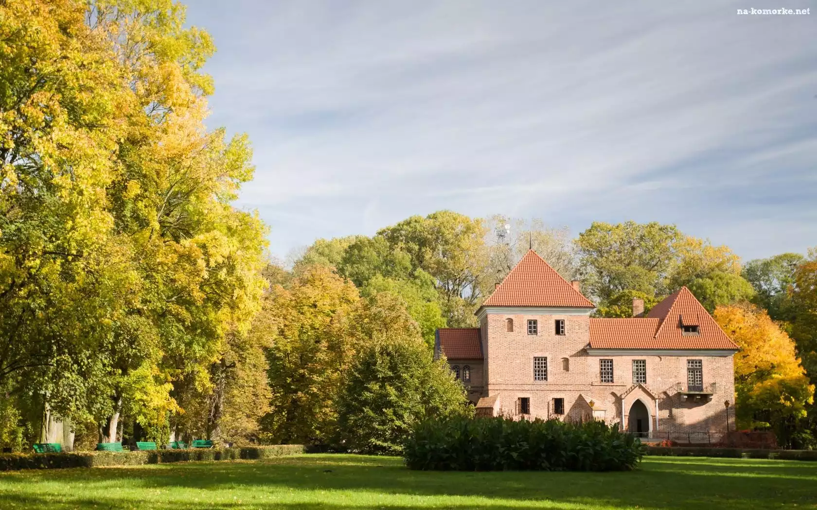 Trawa, Zamek, Oporów, Polska, Drzewa
