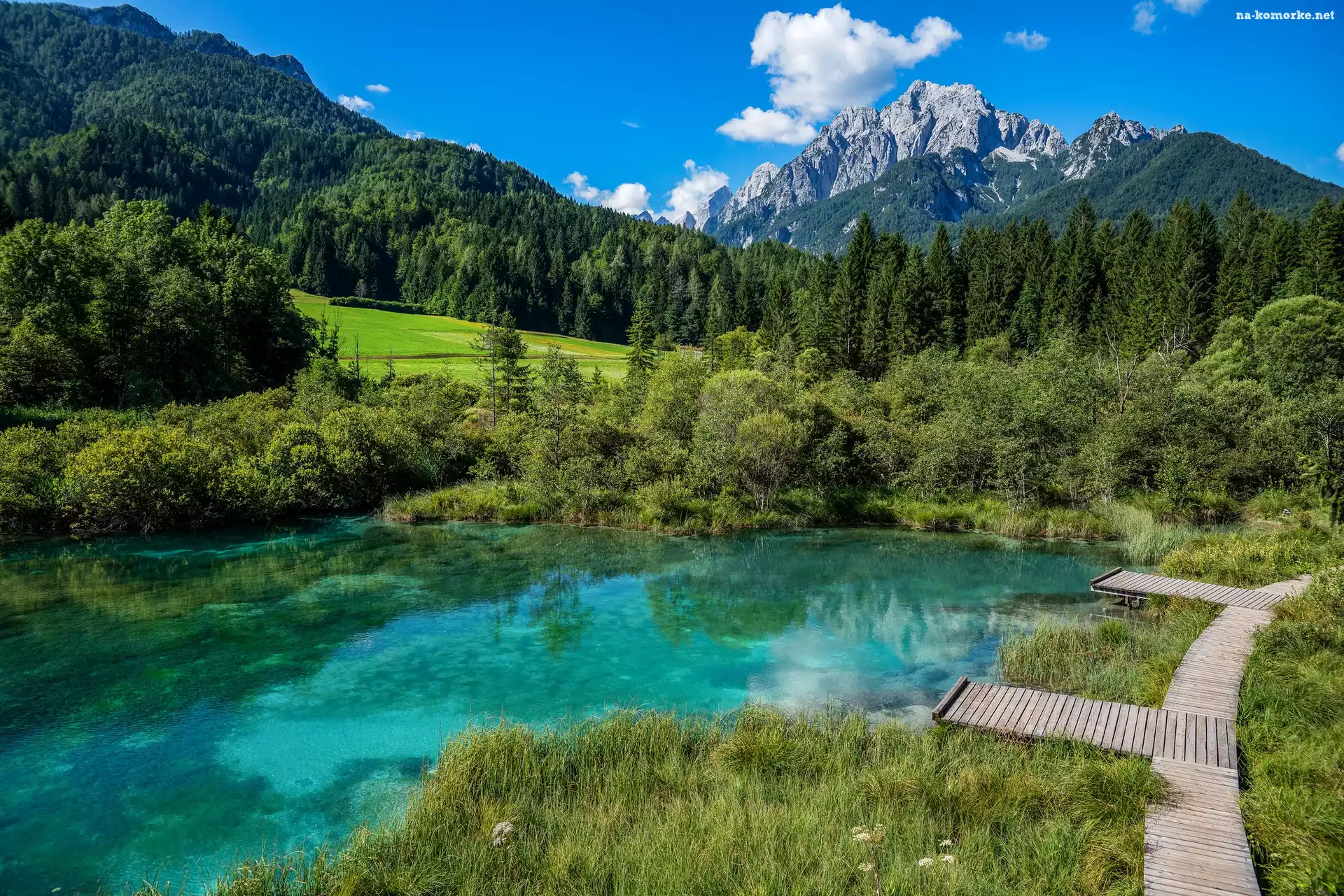 Pomosty, Rezerwat przyrody Zelenci, Słowenia, Jezioro, Drzewa, Las, Góry, Trawa, Kranjska Gora