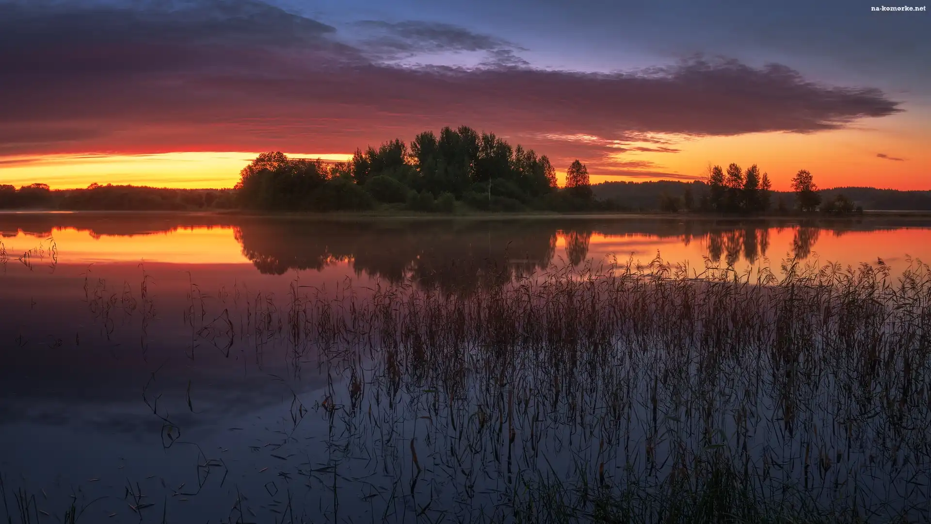 Jezioro, Trawa, Zachód słońca, Drzewa