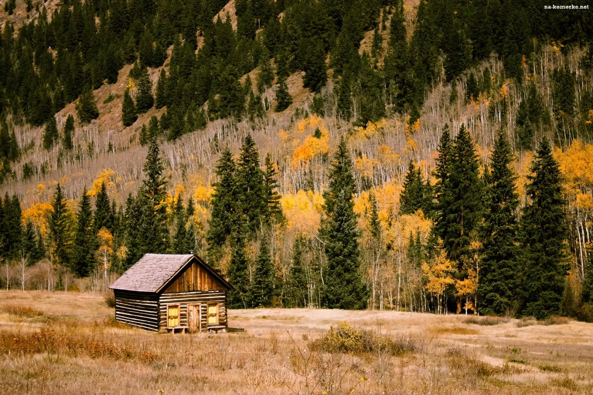 Trawy, Dom, Drewniany, Góry, Las