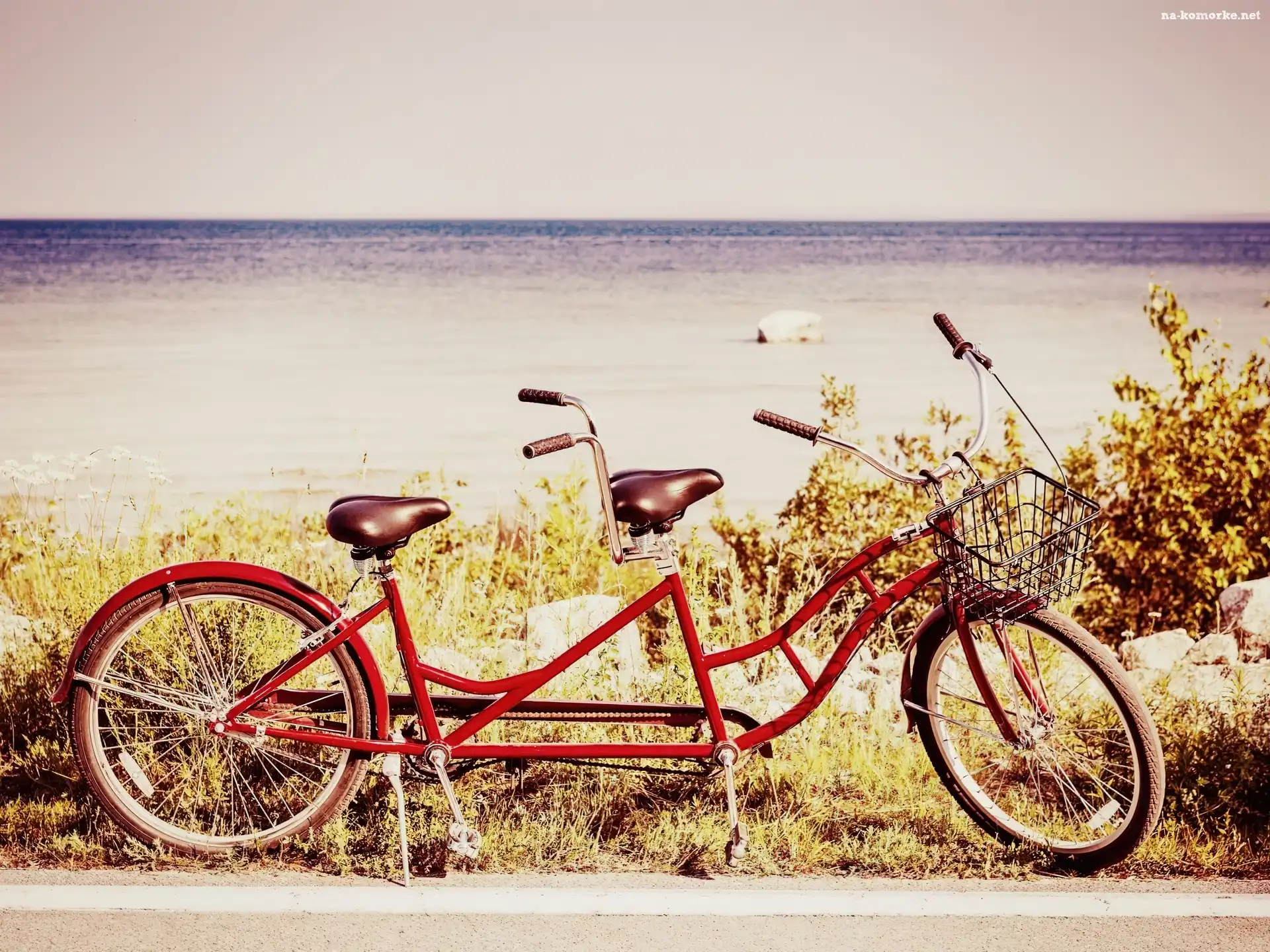 Trawy, Czerwony, Rower, Tandem, Suche