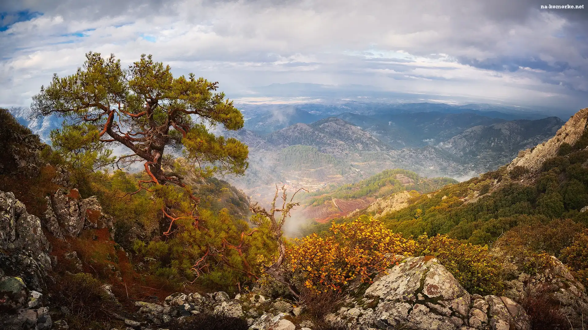Sosna, Troodos, Góry, Cypr, Kamienie, Zachód słońca