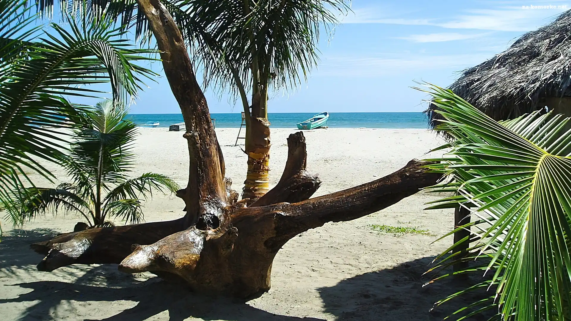 Tropik, Plaża, Palmy, Łódka, Ocean