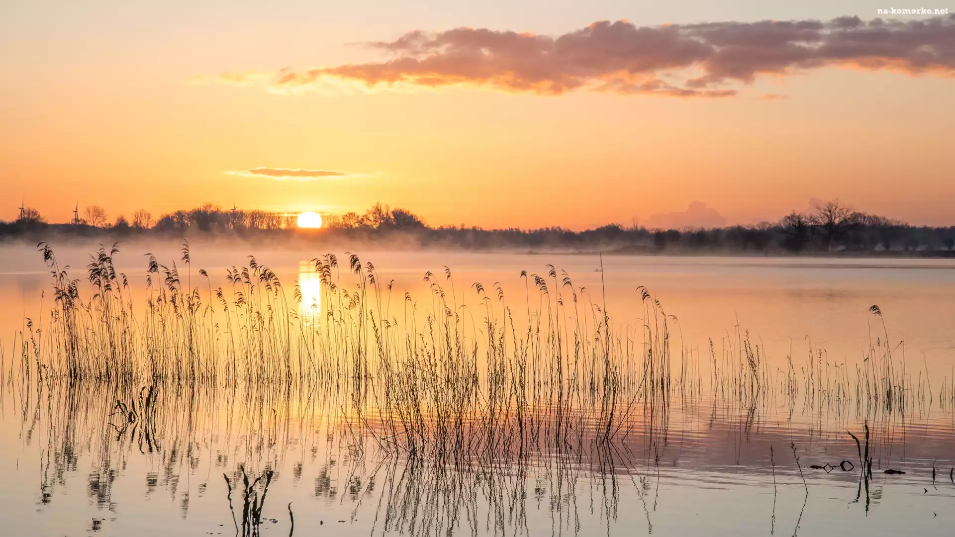 Jezioro, Wschód słońca, Trzciny