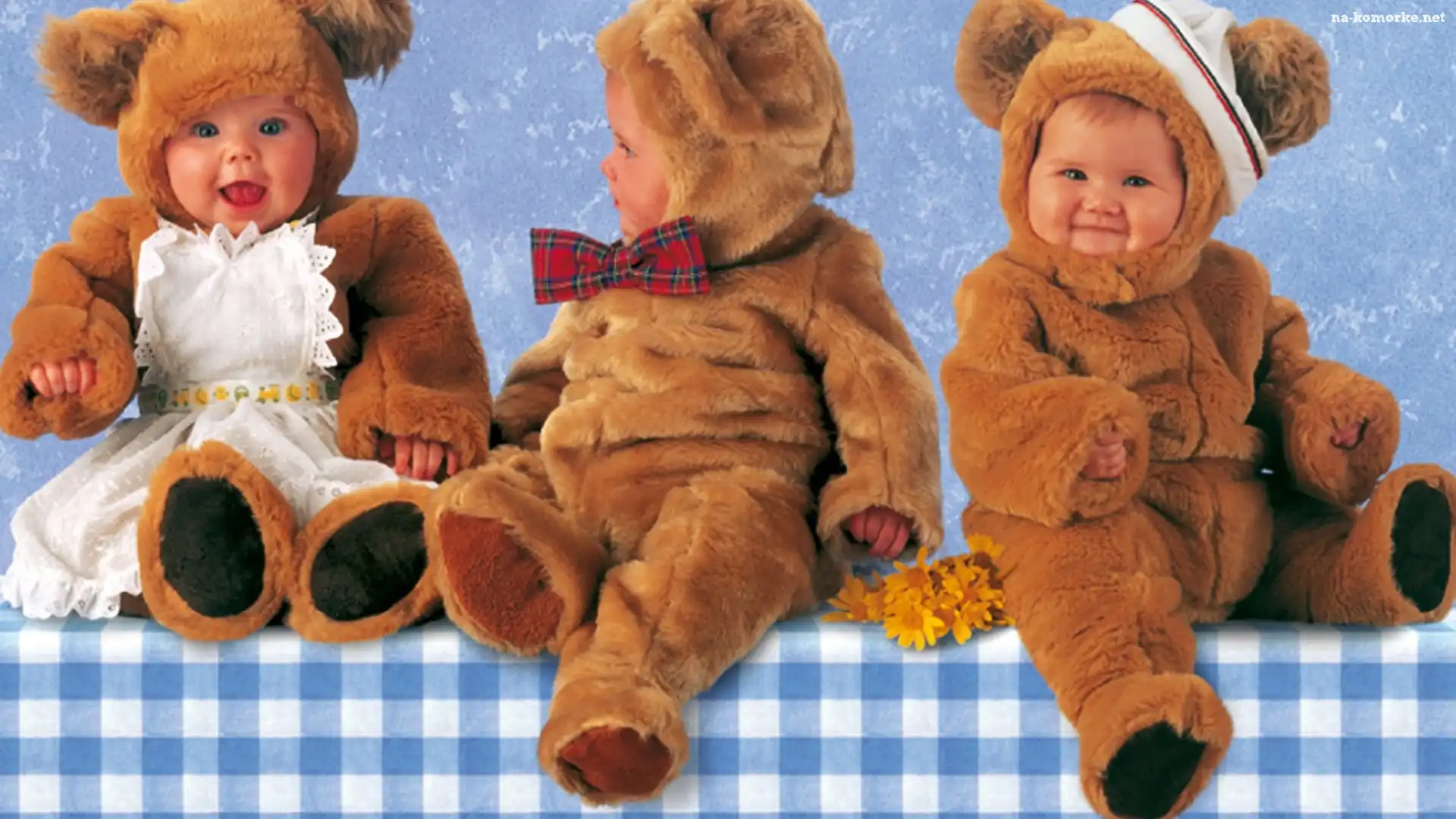 Trzy, Anne Geddes, Małe, Misie
