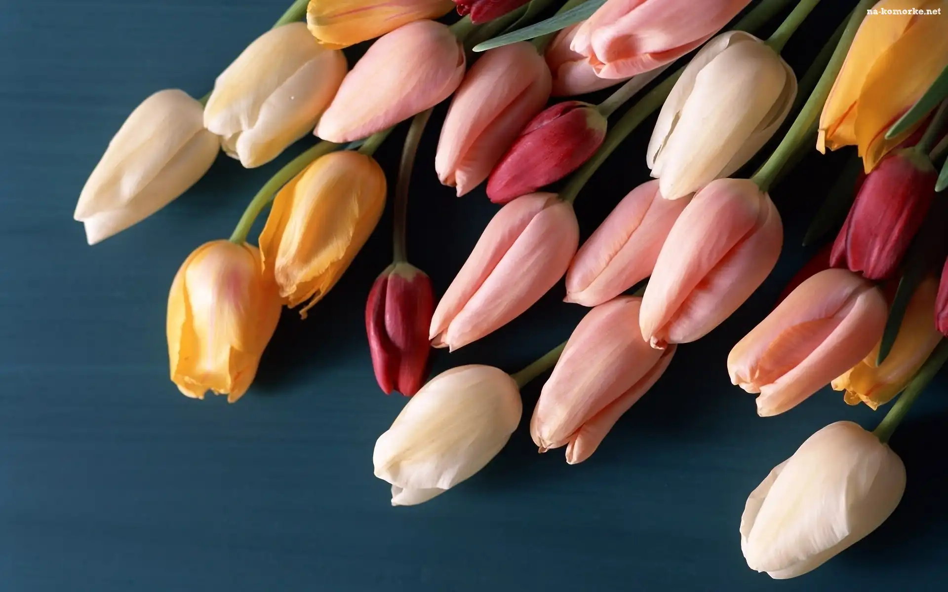 Tulipany, Bukiet
