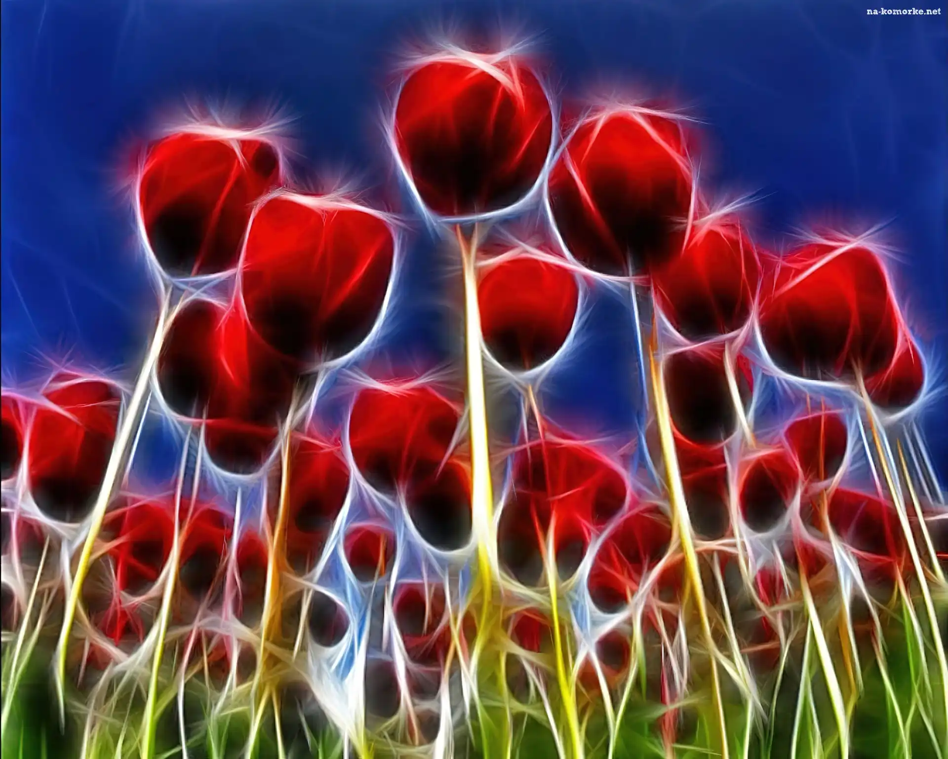 Czerwone, Tulipany, 3D