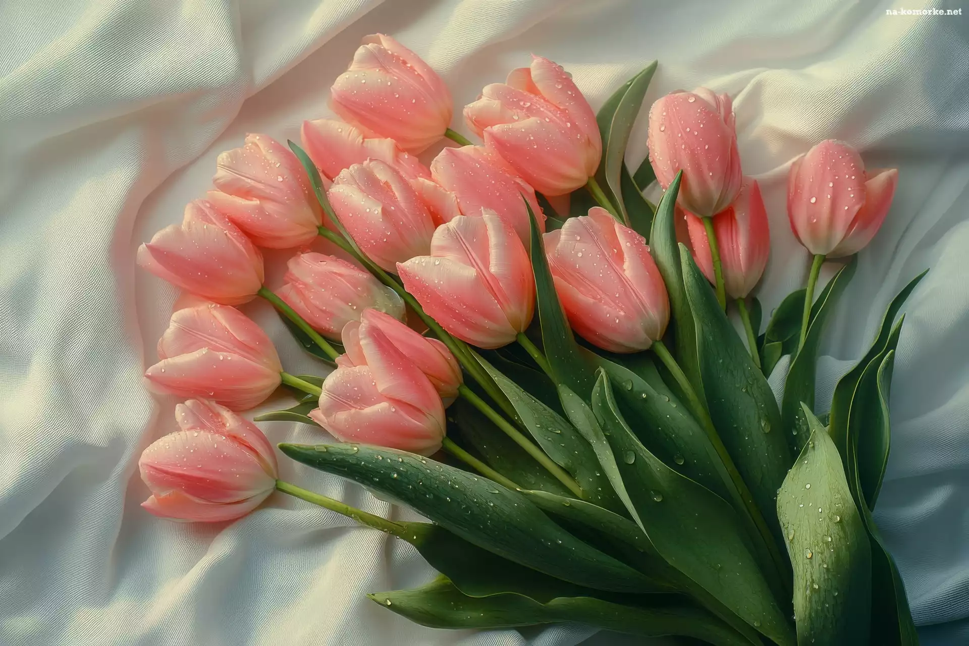 Kwiaty, Tulipany, Tkanina, Różowe, Krople