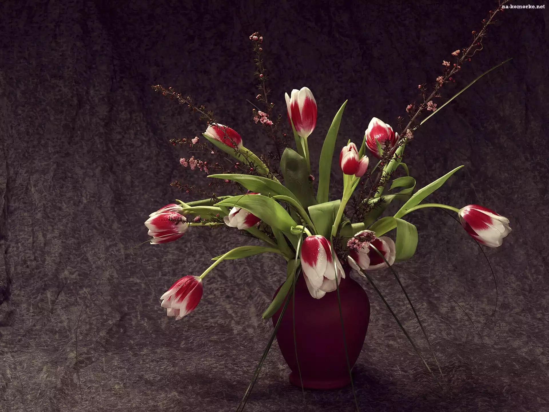 Wazon, Przybranie, Tulipany