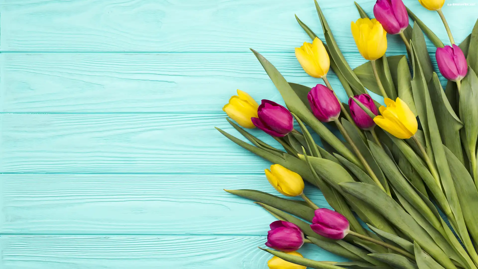Tulipany, WiÄ…zanka