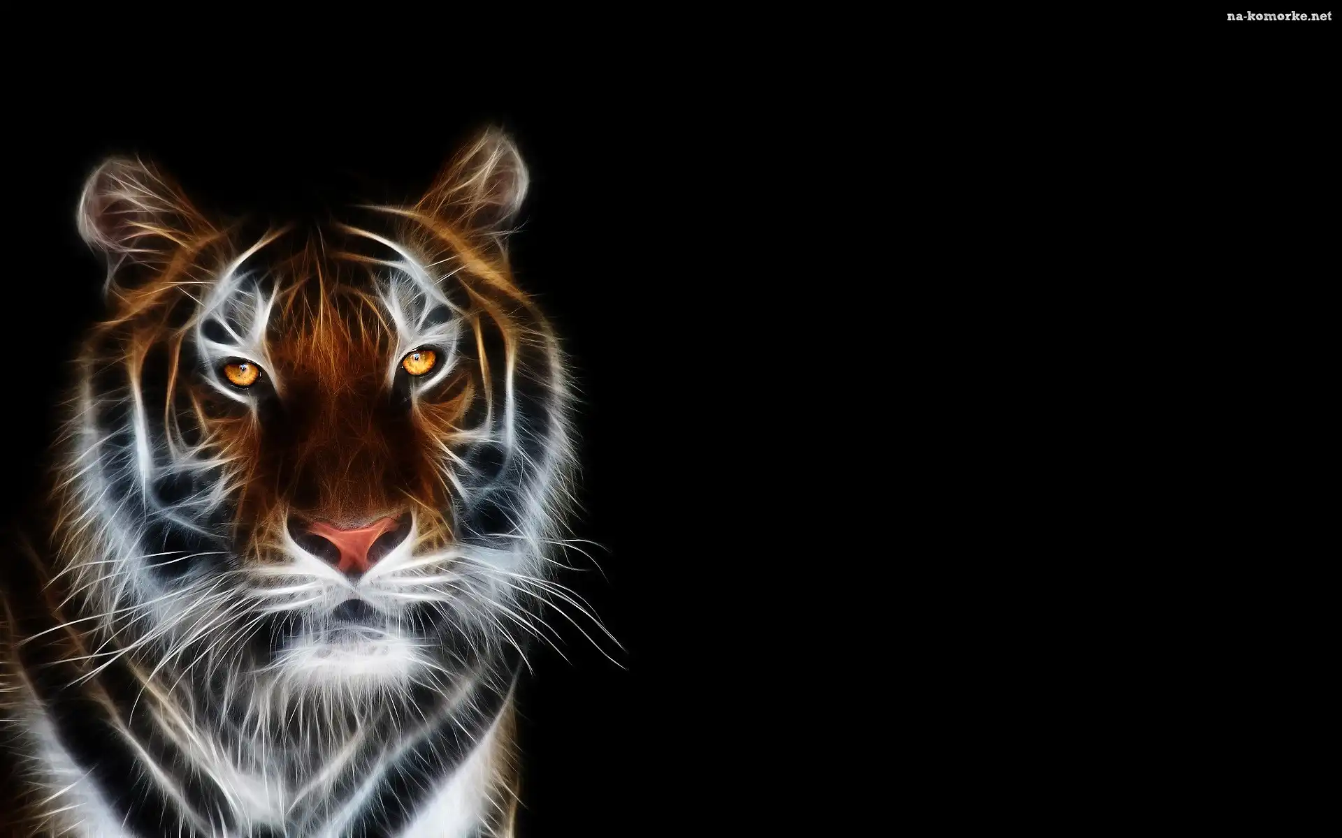 Tygrys, 3D