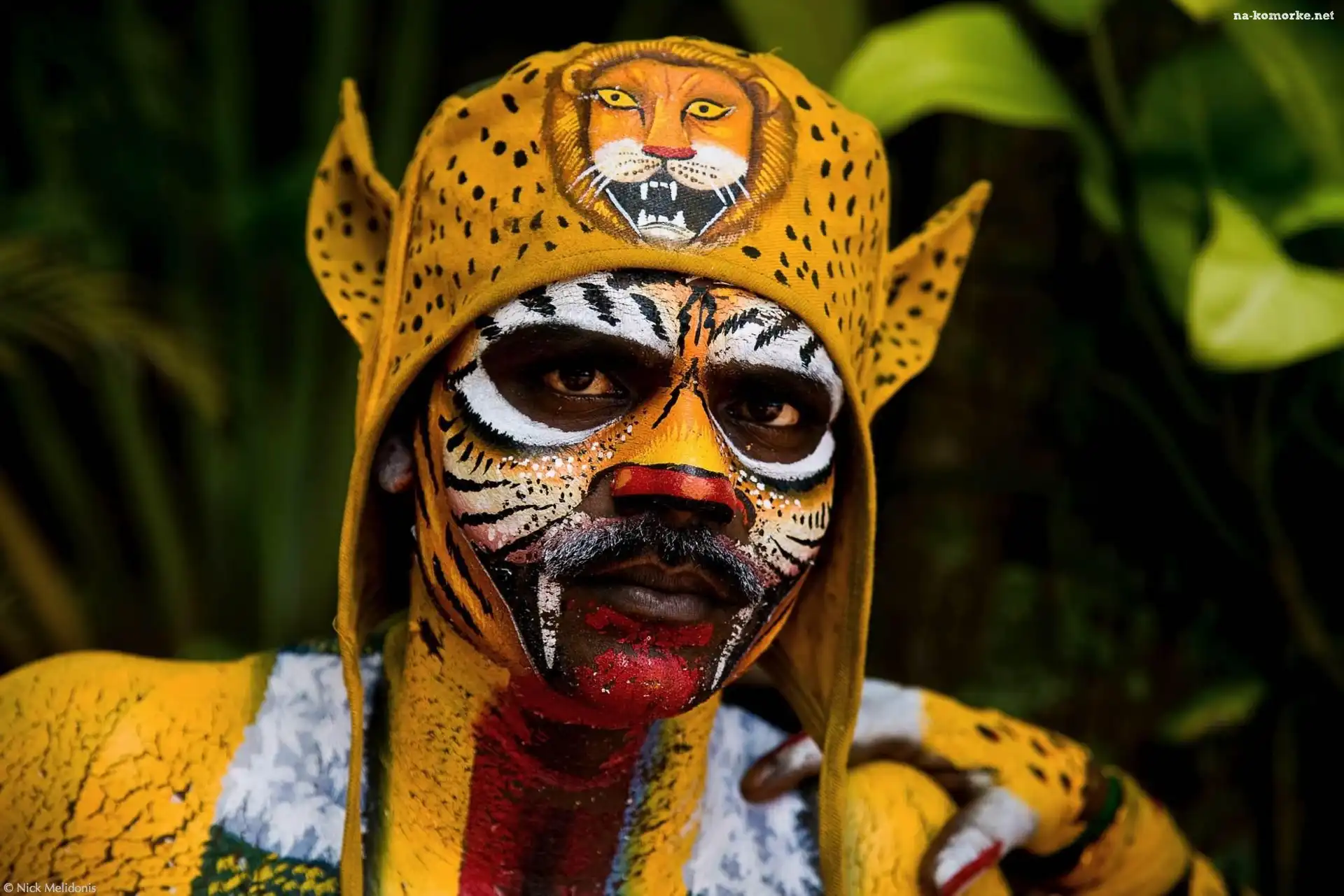 Mężczyzna, Tygrys, Bodypainting