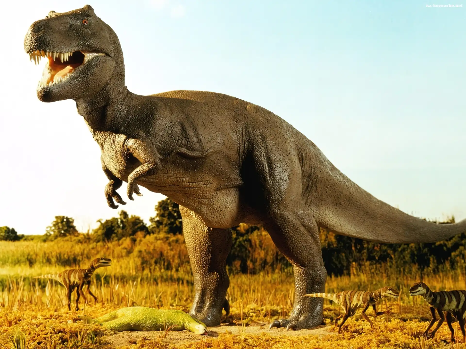 Tyranozaur
