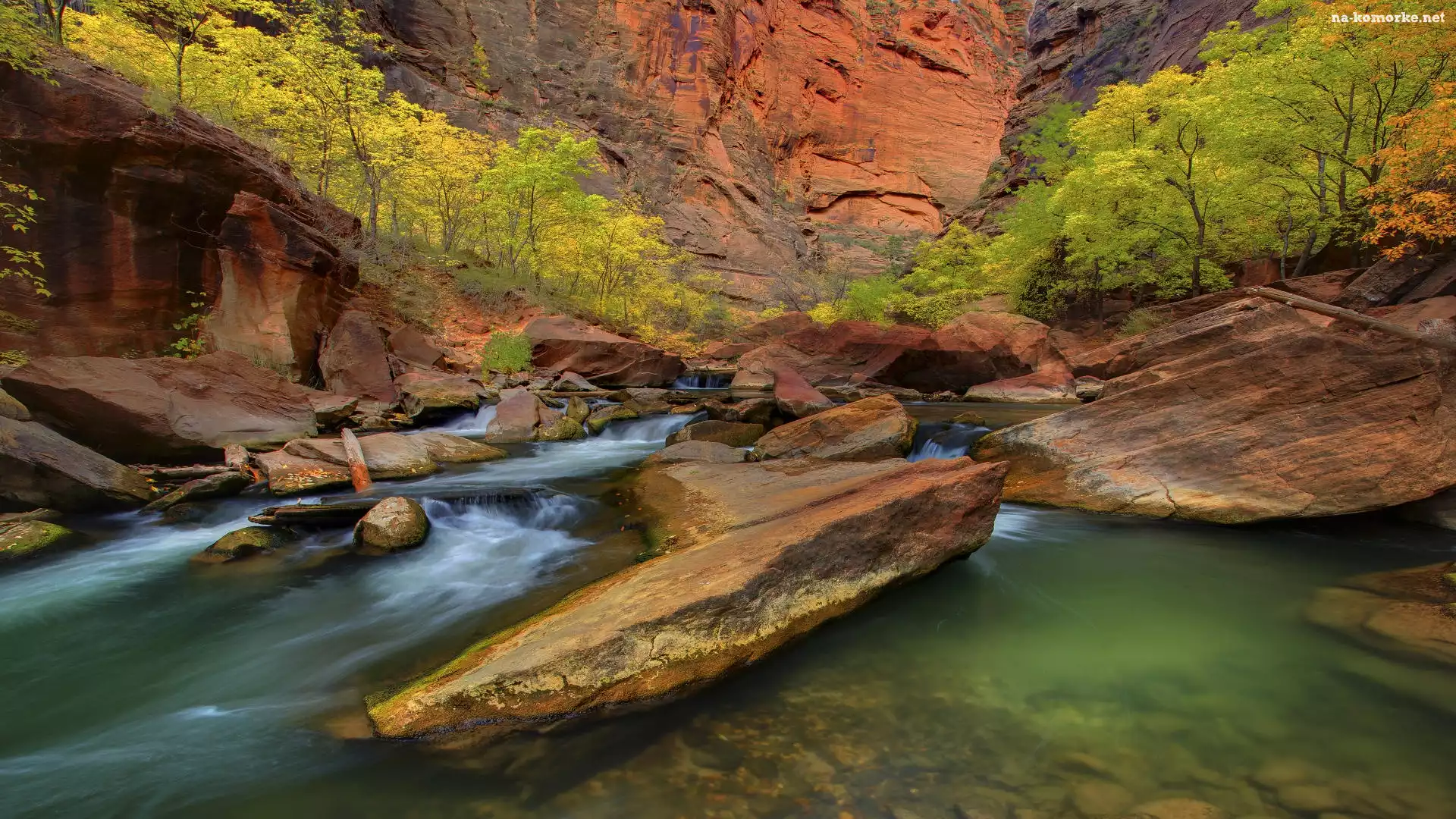 Stany Zjednoczone, Drzewa, Kanion, Stan Utah, Park Narodowy Zion, Rzeka Virgin River, Skały