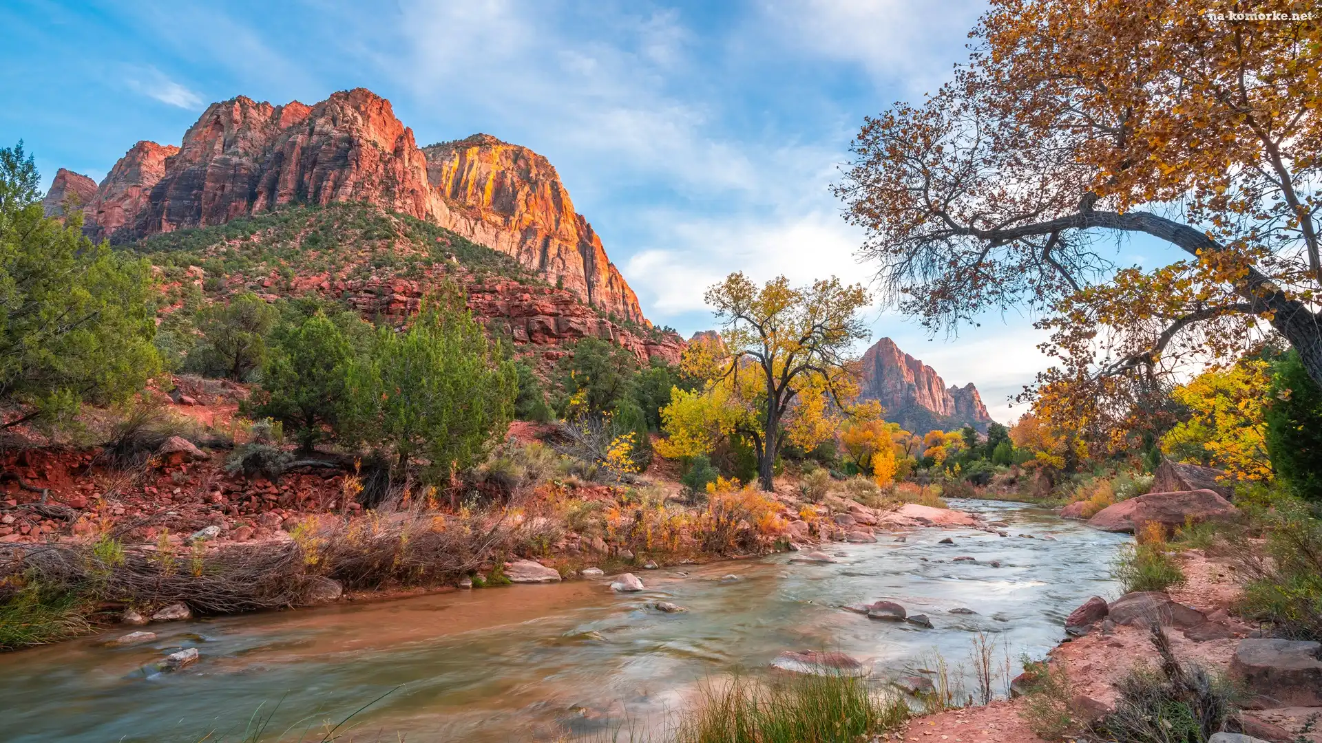 Park Narodowy Zion, Stan Utah, Drzewa, Stany Zjednoczone, Góry Watchman, Rzeka, Virgin River, Kamienie