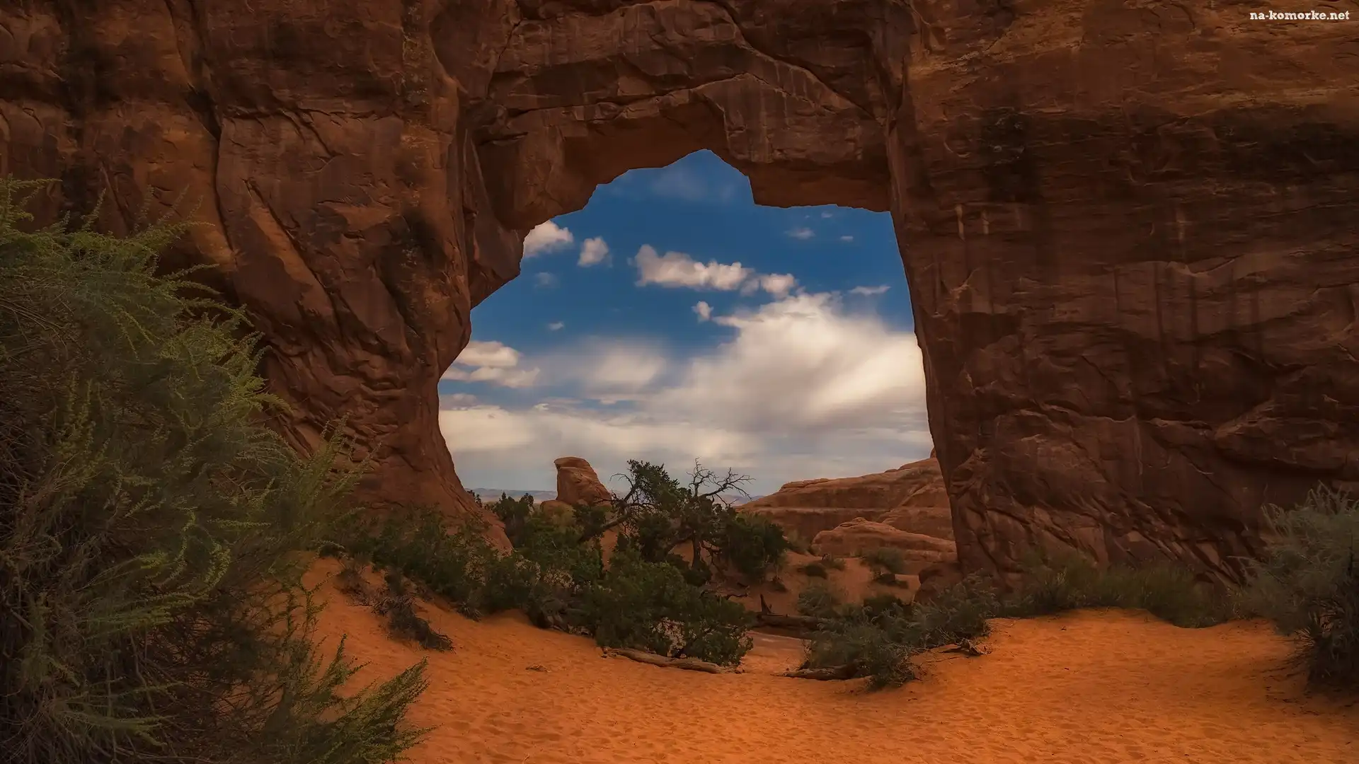Stany Zjednoczone, Skały, Rośliny, Park Narodowy Arches, Stan Utah