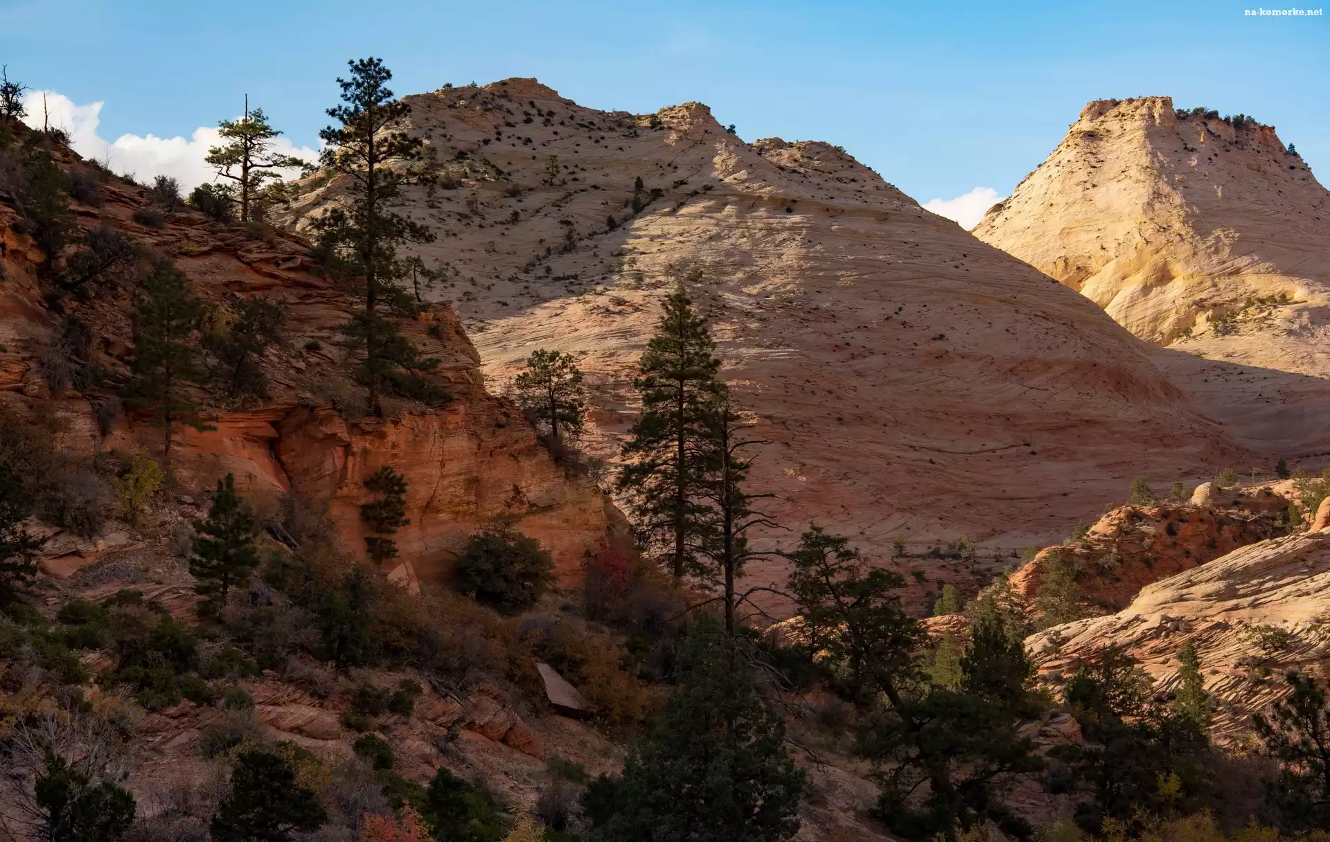 Skały, Drzewa, Park Narodowy Zion, Stany Zjednoczone, Góry, Stan Utah