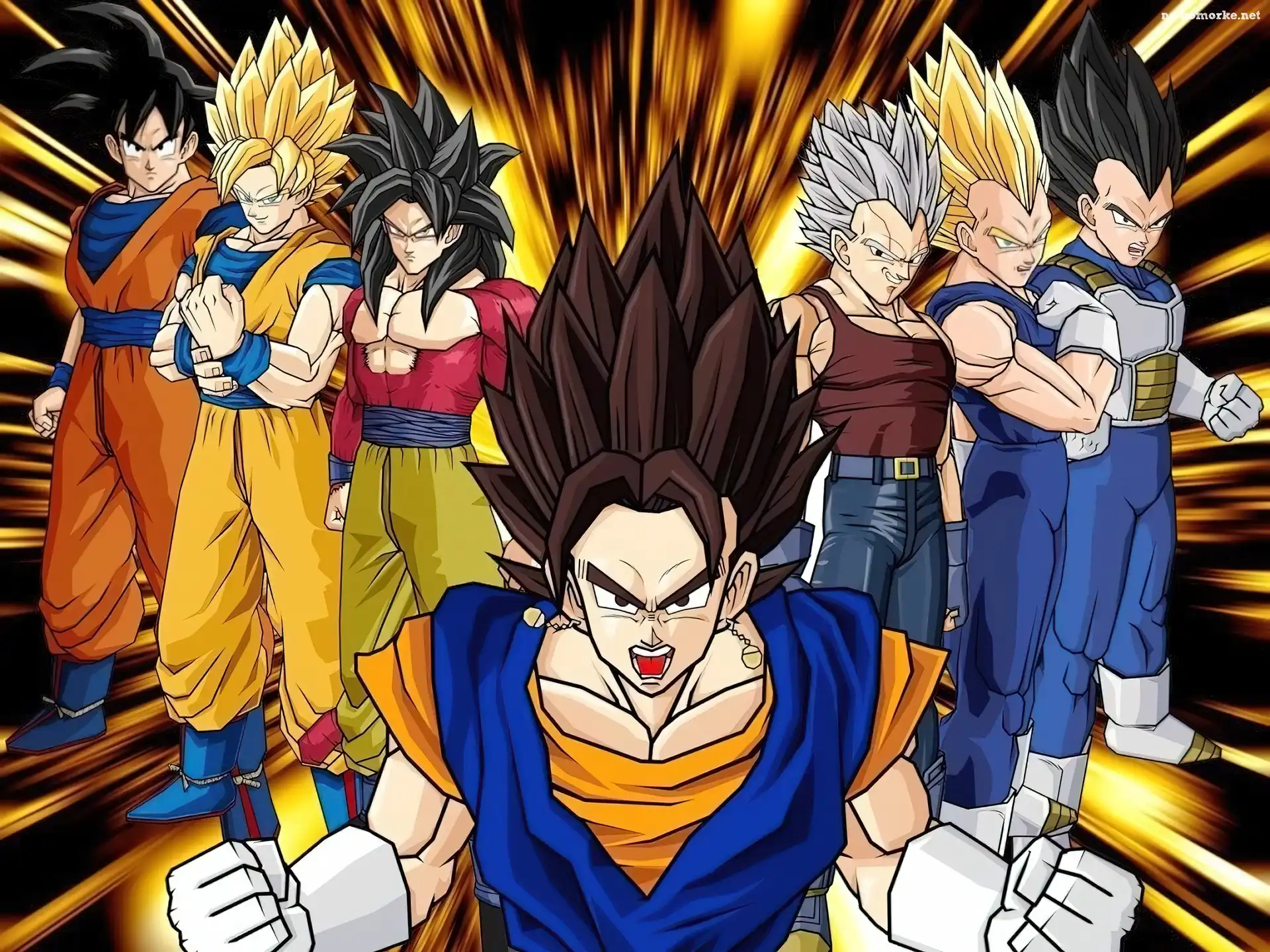 Vegetto, postacie, Goku, Vegeta