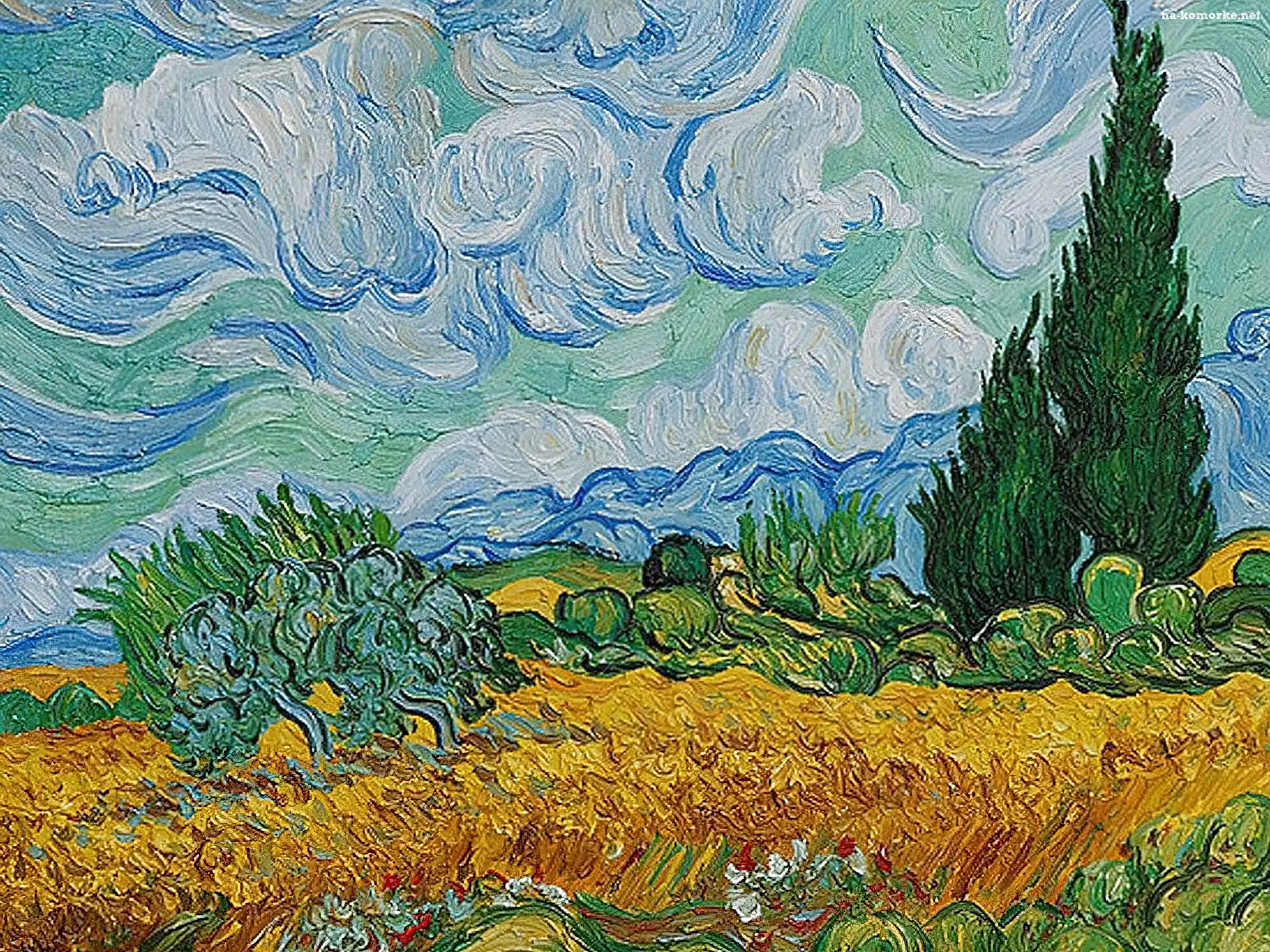 Vicent Van Gogh, Pszenicy, Z, Pole, Cyprysami