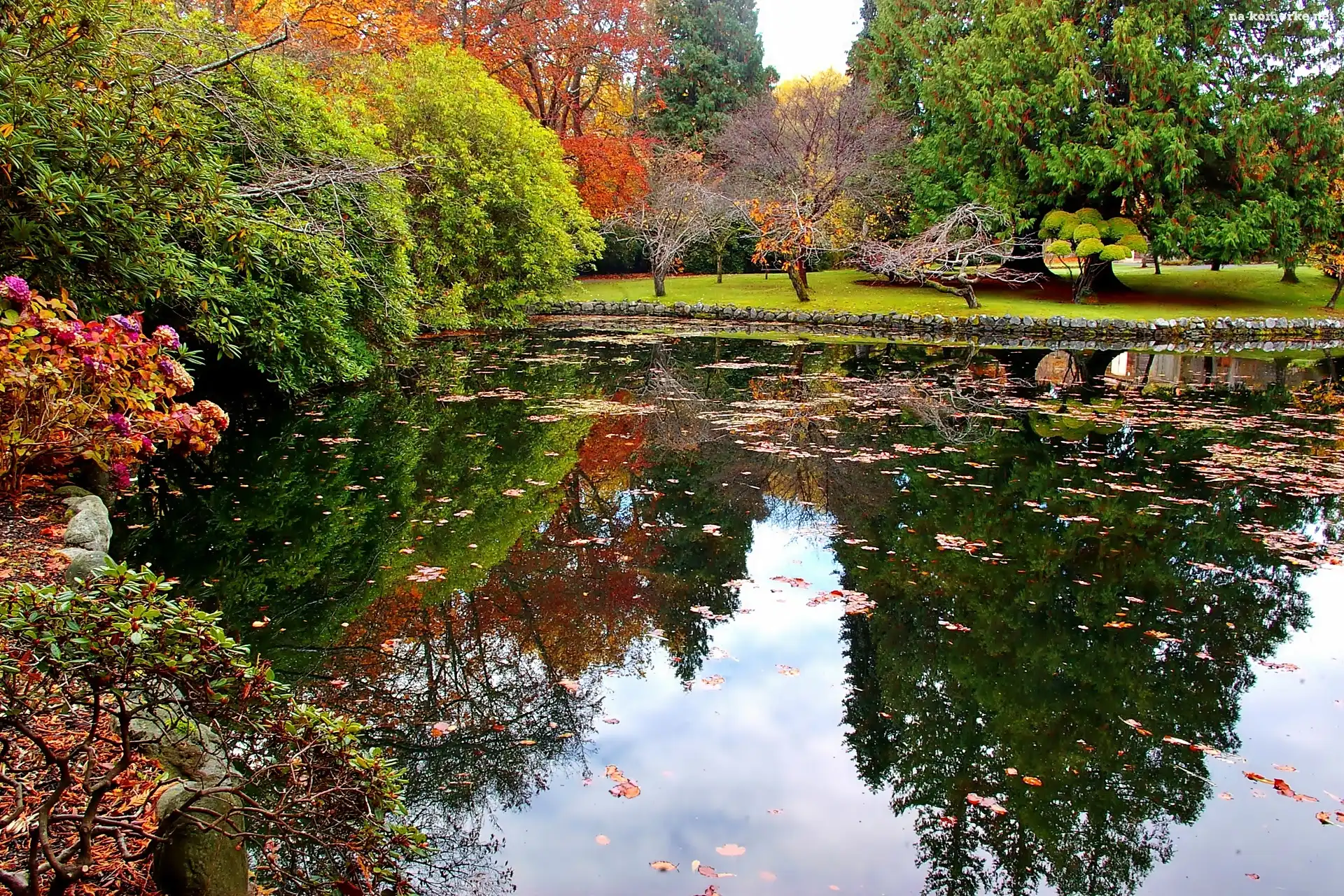 Victoria, Park, Hatley, Staw, Jesień