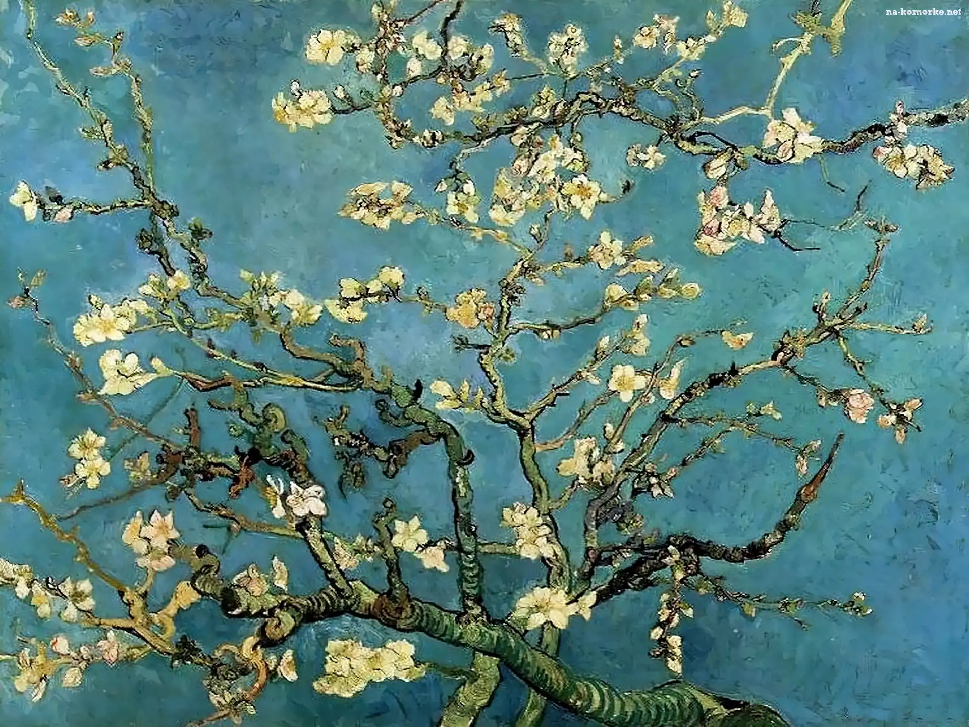 Bloom, Vincent Van Gogh, Almond, Branches, In