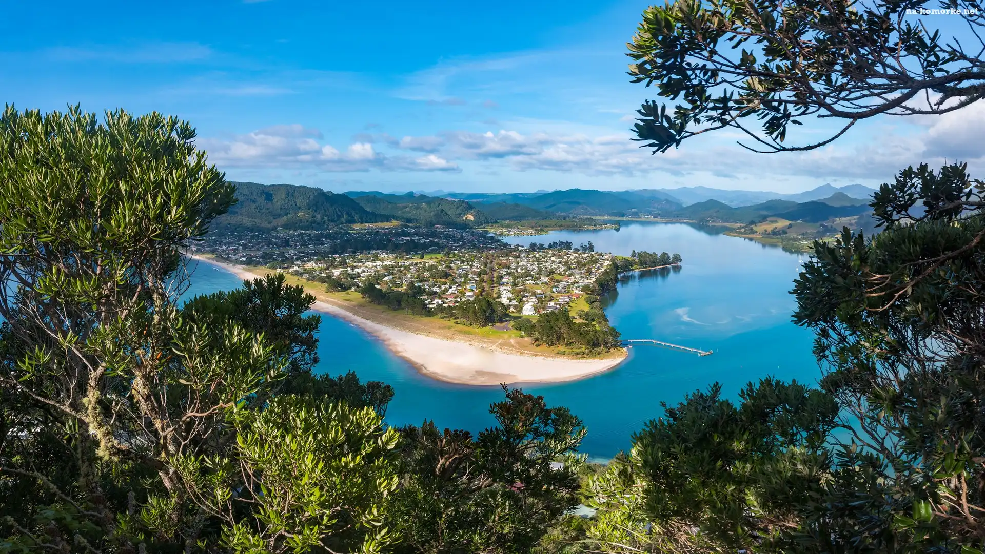 Pauanui, Rzeka, Drzewa, Nowa Zelandia, Tairua River, Region Waikato