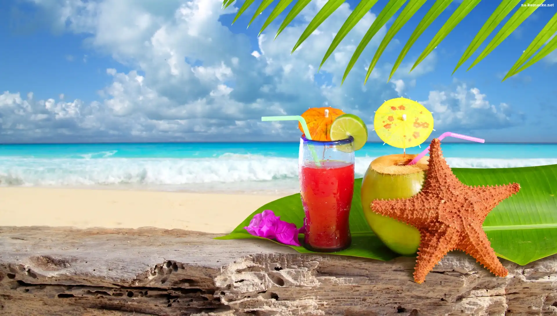 Wakacje, Letnia, Plaża, Drinki, Rozgwiazda