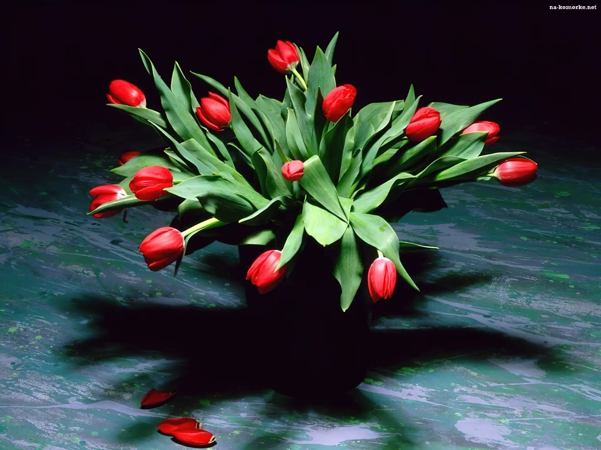 Tulipany