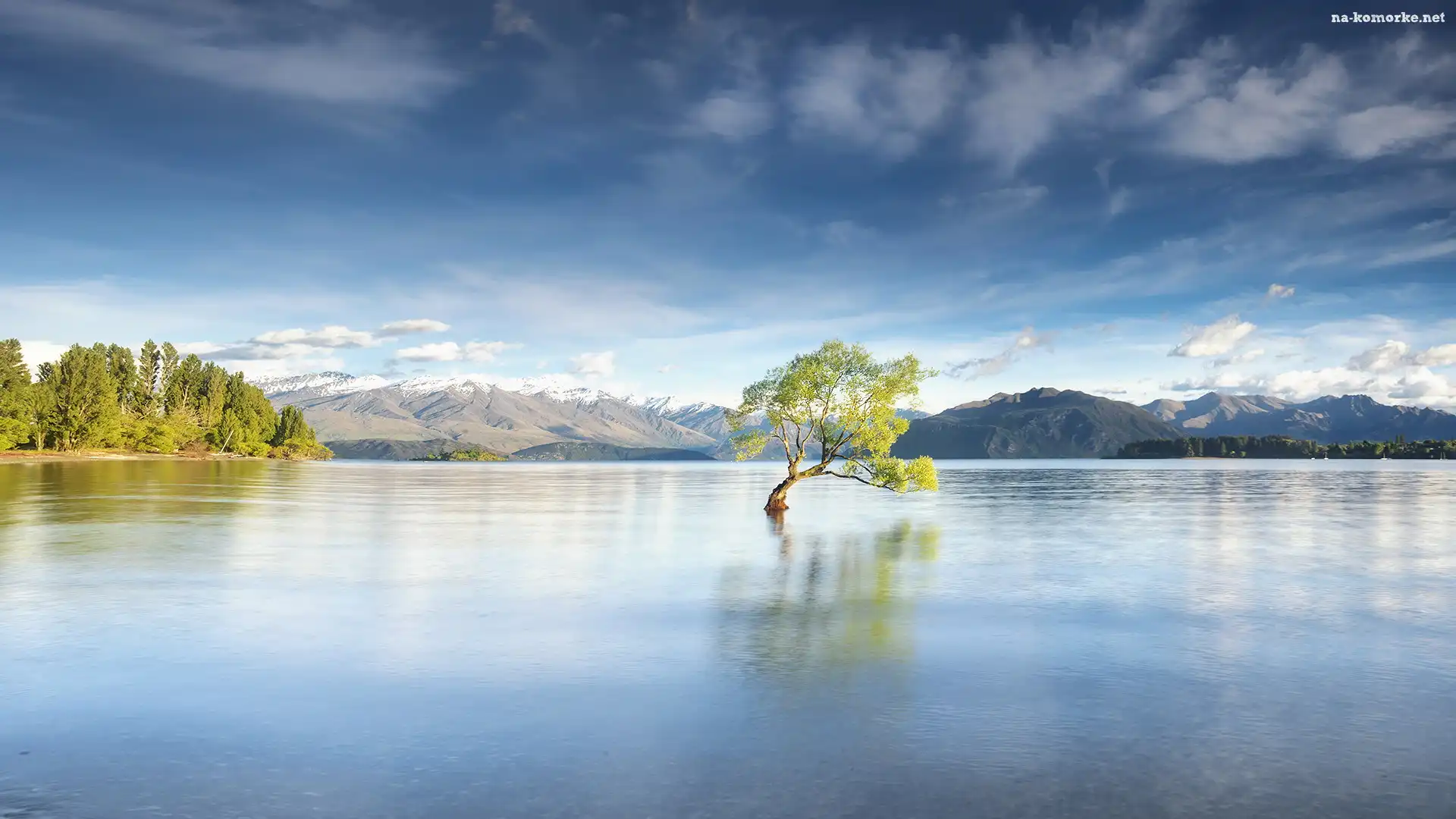 Jezioro Wanaka, Nowa Zelandia, Drzewo, Wyspa Południowa
