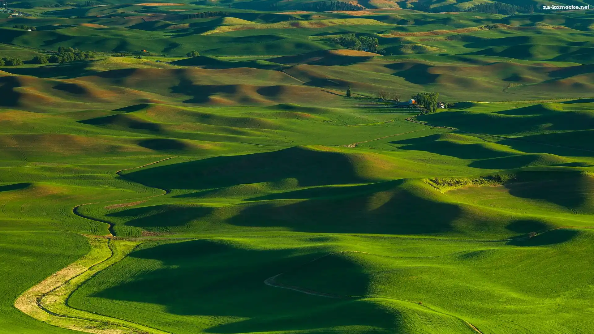 Region Palouse, Droga, Wzgórza, Stany Zjednoczone, Pola, Stan Waszyngton