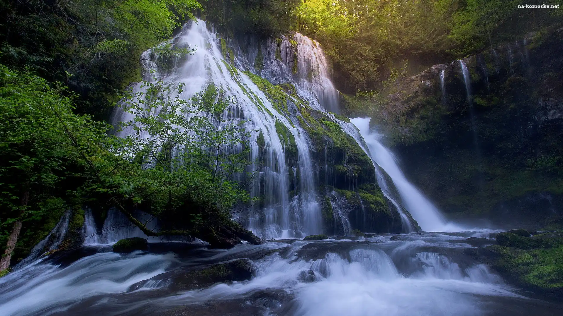 Drzewa, Stan Waszyngton, Stany Zjednoczone, Wodospad Panther Creek Falls, Las, Skały