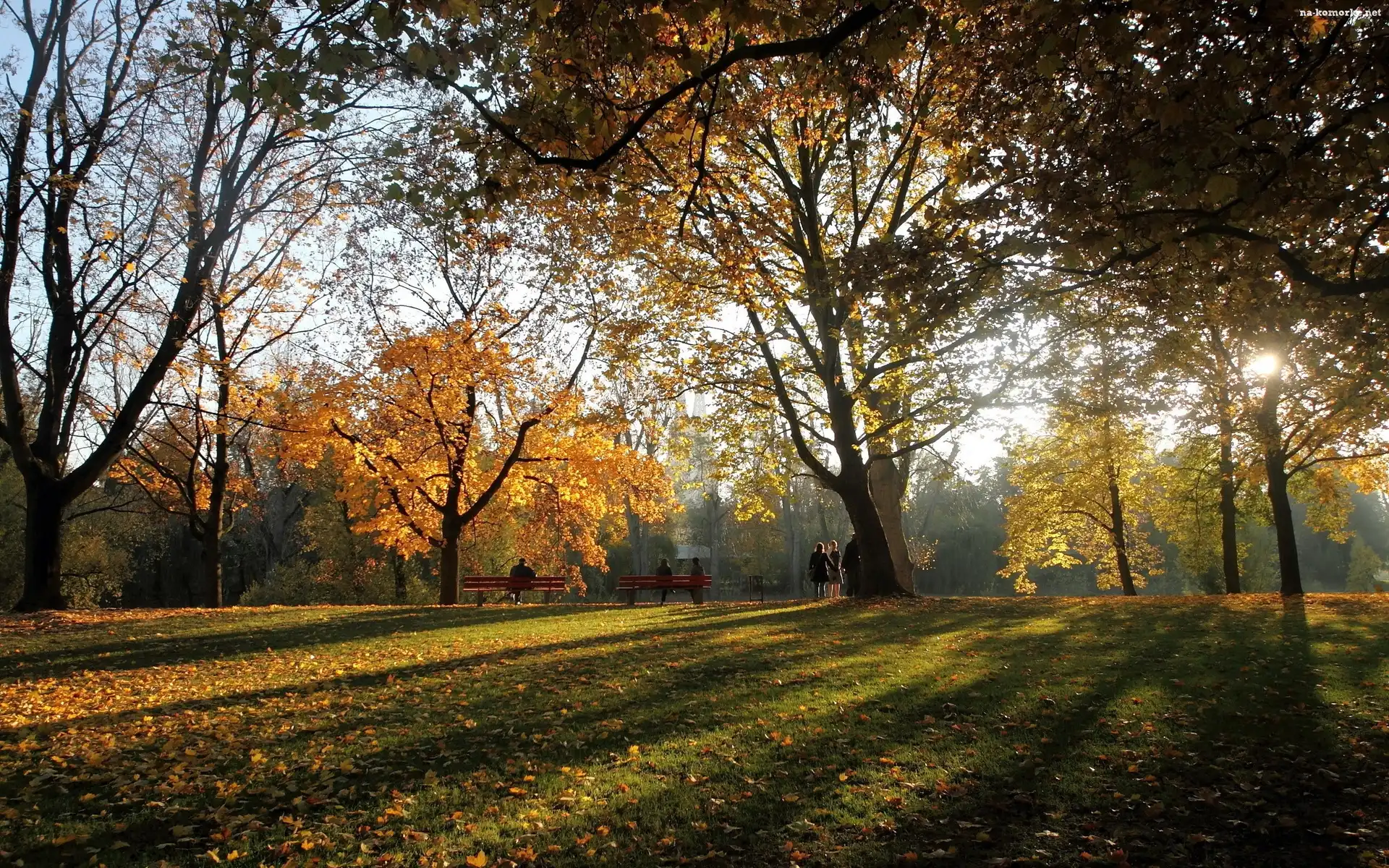 Światło, Ludzie, Park, Jesień, Przebijające, Liście