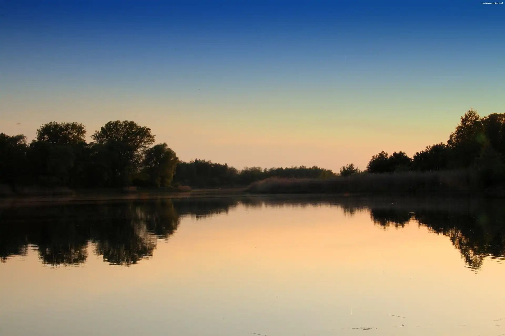 Wieczór, Zarośla, Jezioro, Drzewa