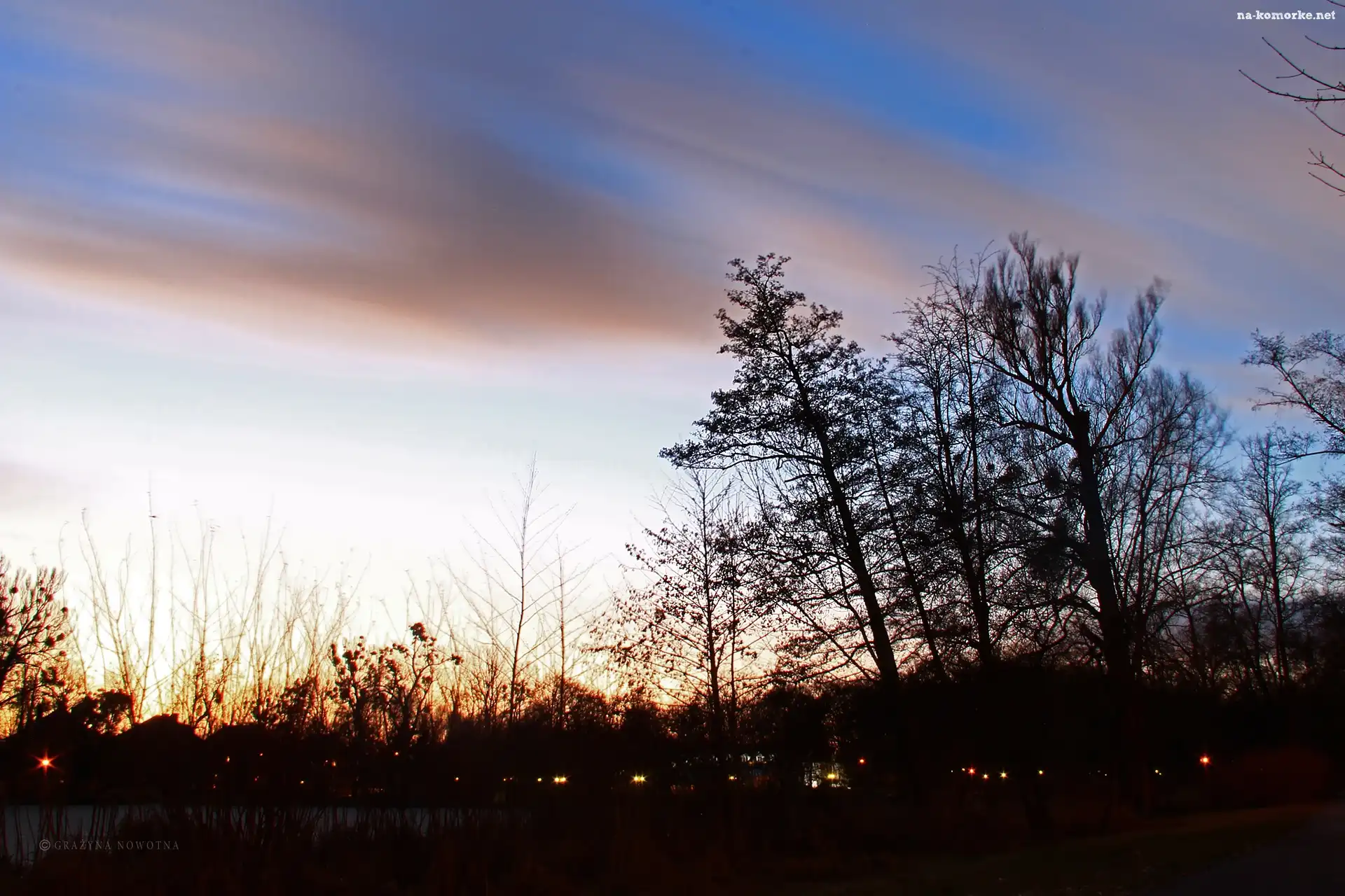 Wieczór, Niebo, Park, Drzewa
