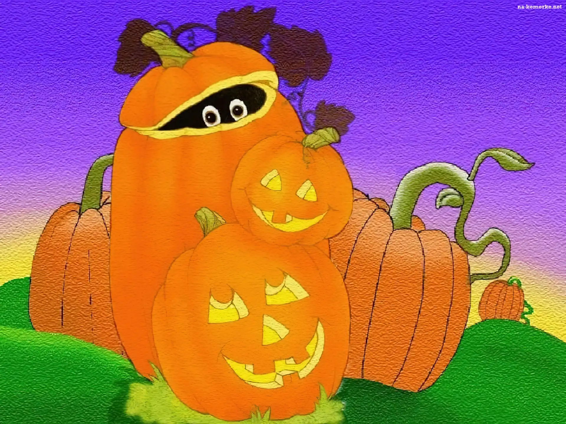 Halloween, wielkie dynie
