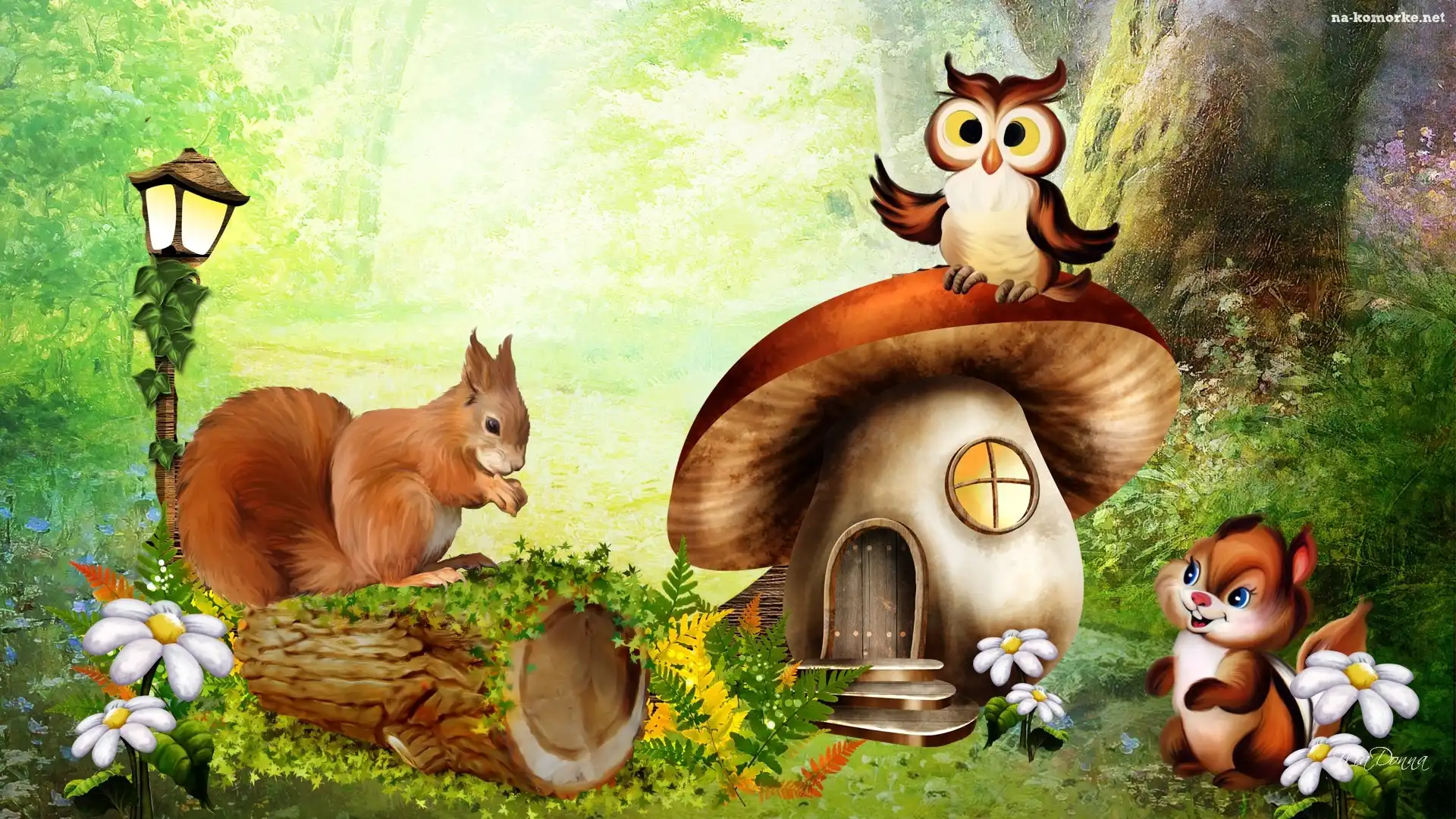 Sowa, Wiewiórka, Domek