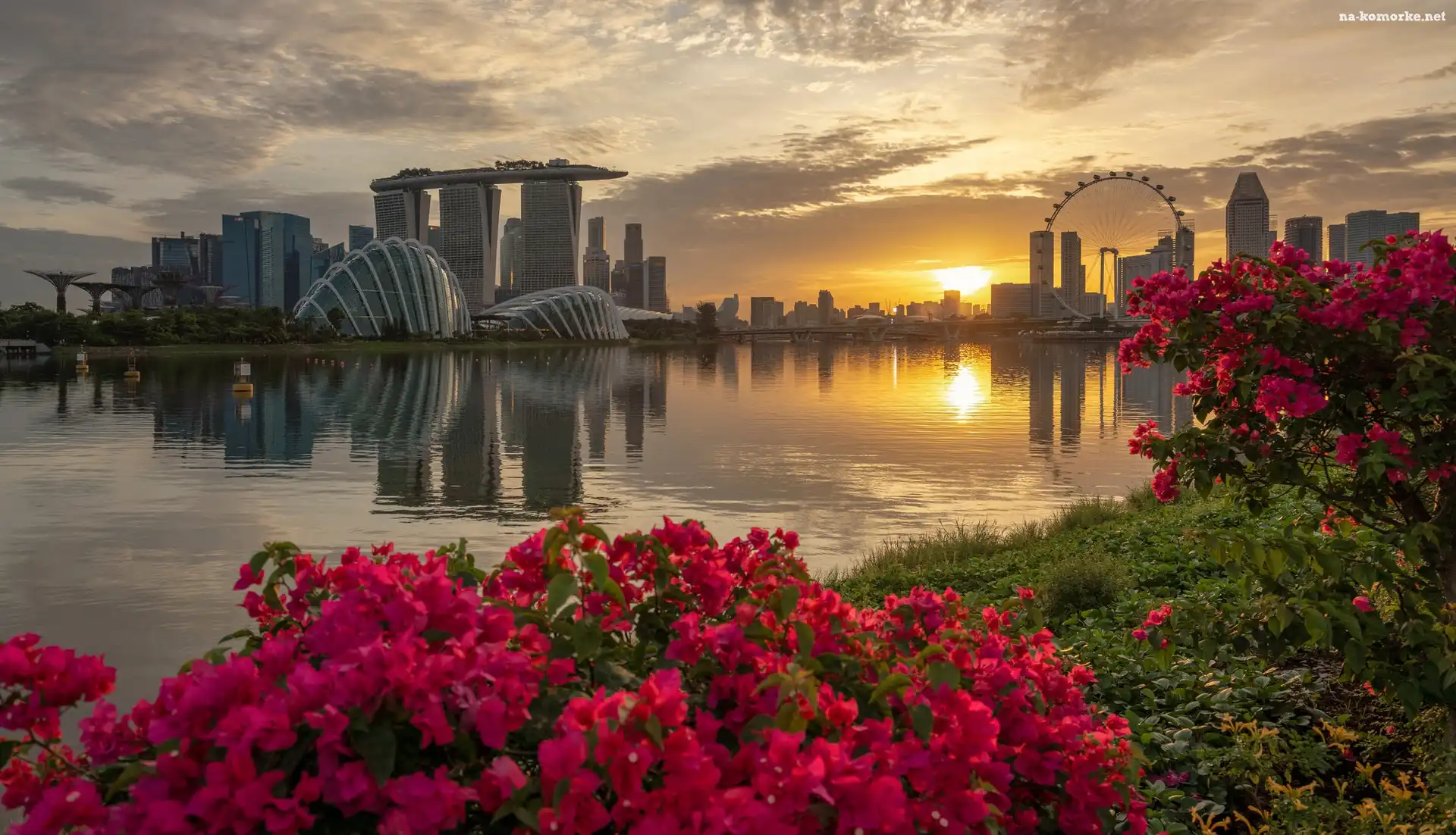 Zatoka Marina Bay, Kwiaty, Wieżowce, Zachód słońca, Hotel Marina Bay Sands, Singapur, Most, Rzeka