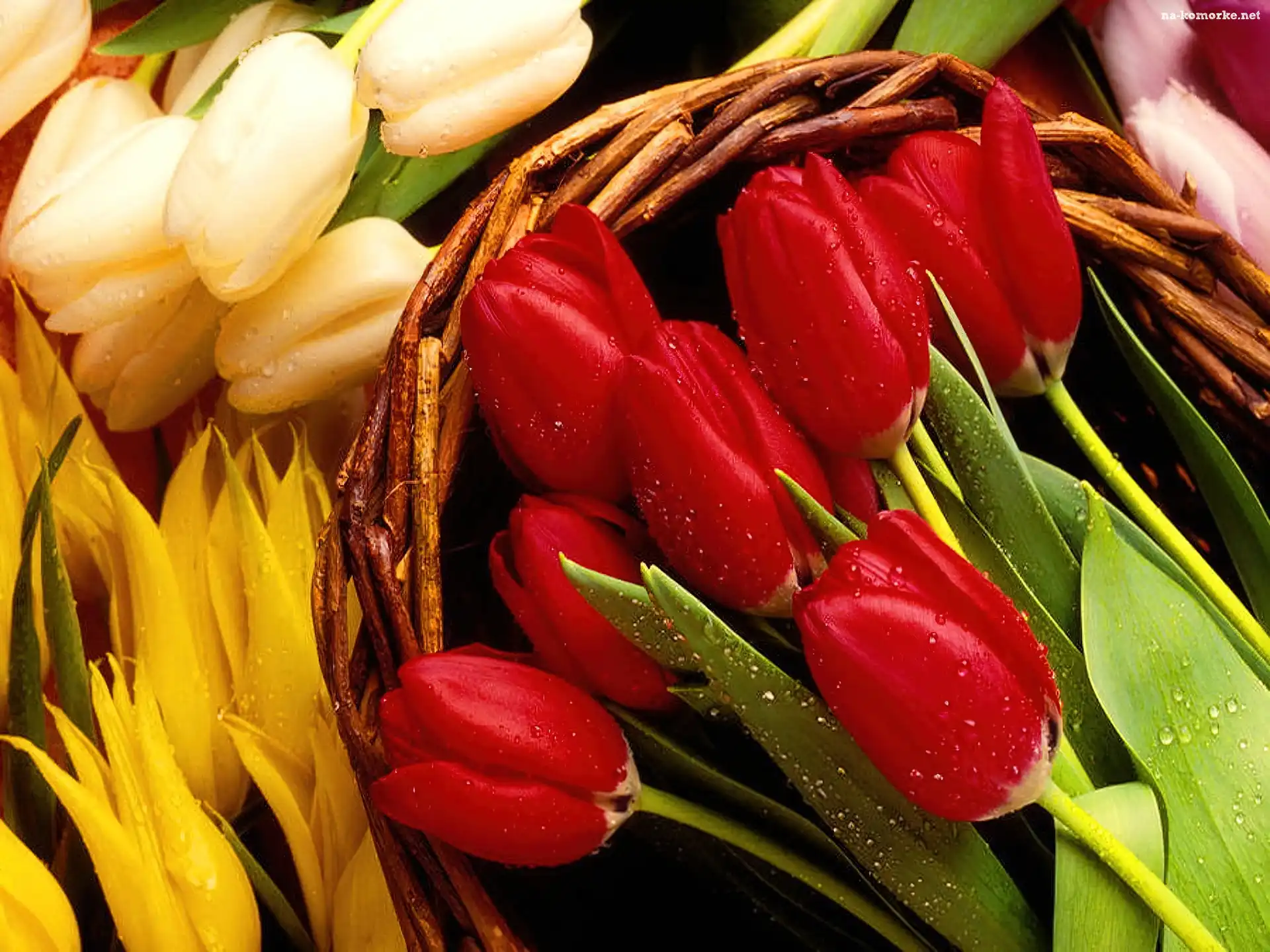 Kolorowe, Tulipany, Wiklinowy, Kosz