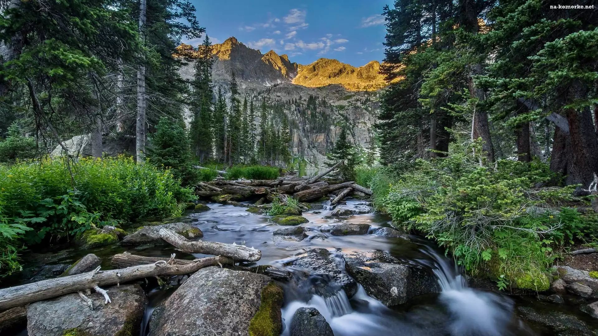 Stany Zjednoczone, Rzeczka, Indian Peaks Wilderness, Kamienie, Stan Kolorado, Góry, Drzewa, Las