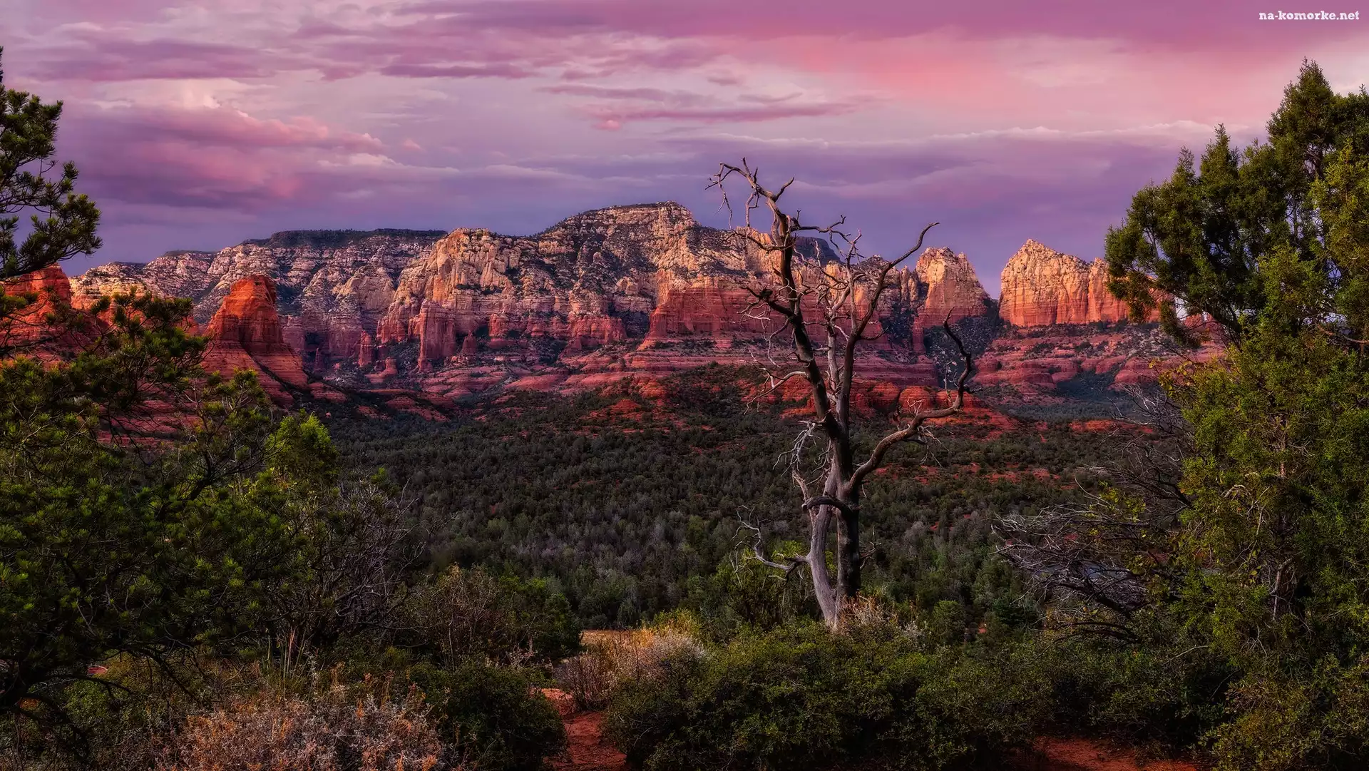Wilson Mountains, Skały, Stany Zjednoczone, Drzewa, Sedona, Góry, Arizona