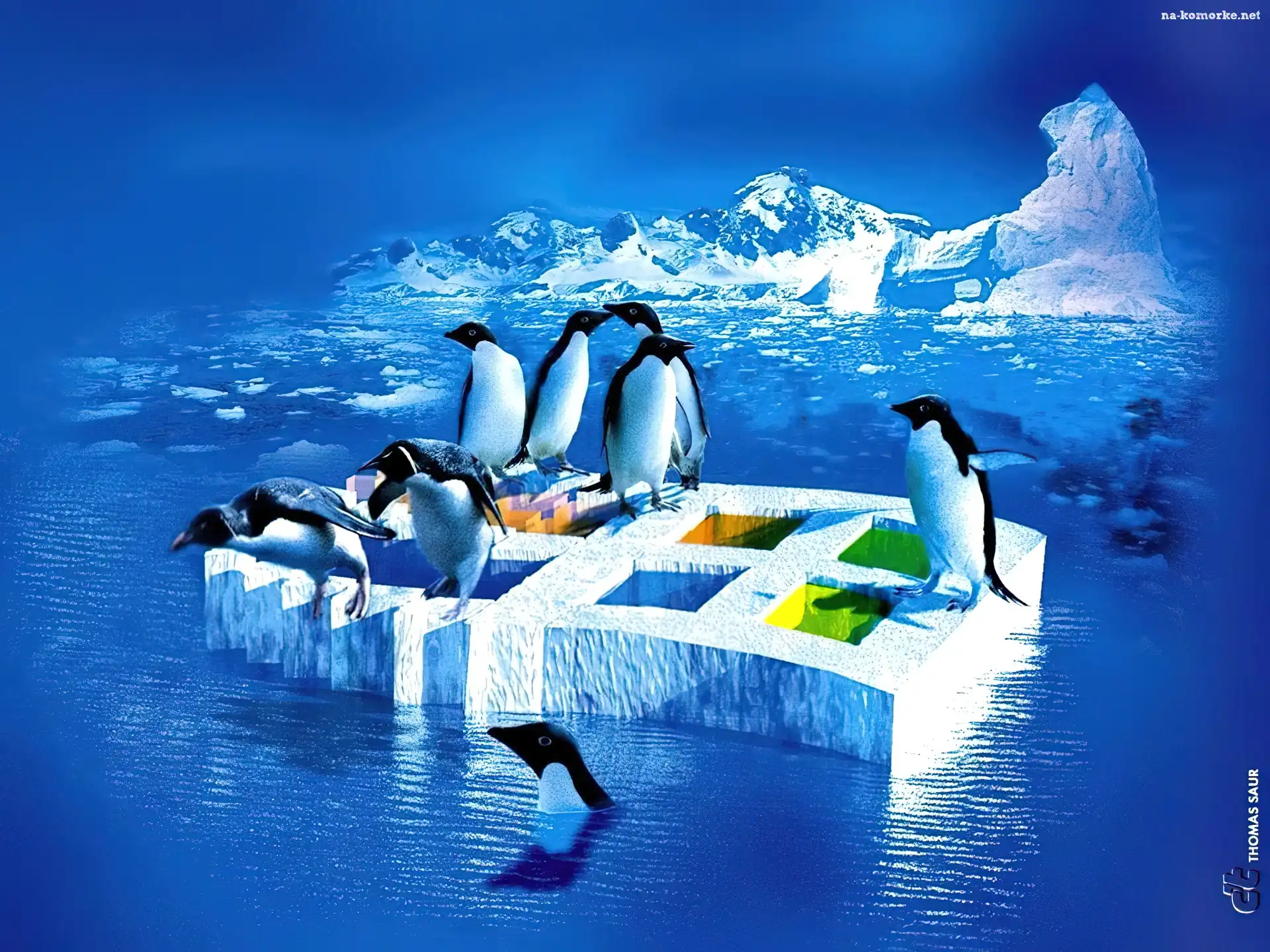 Windows XP, Lód, Pingwiny, Logo